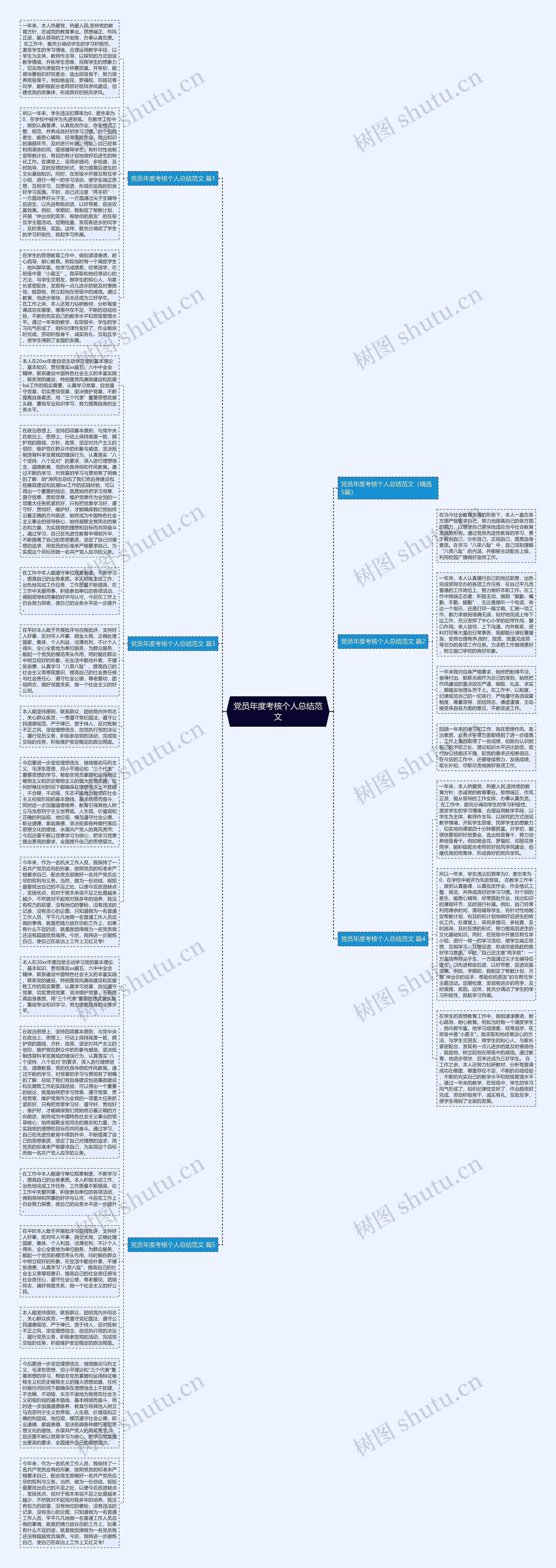 党员年度考核个人总结范文思维导图