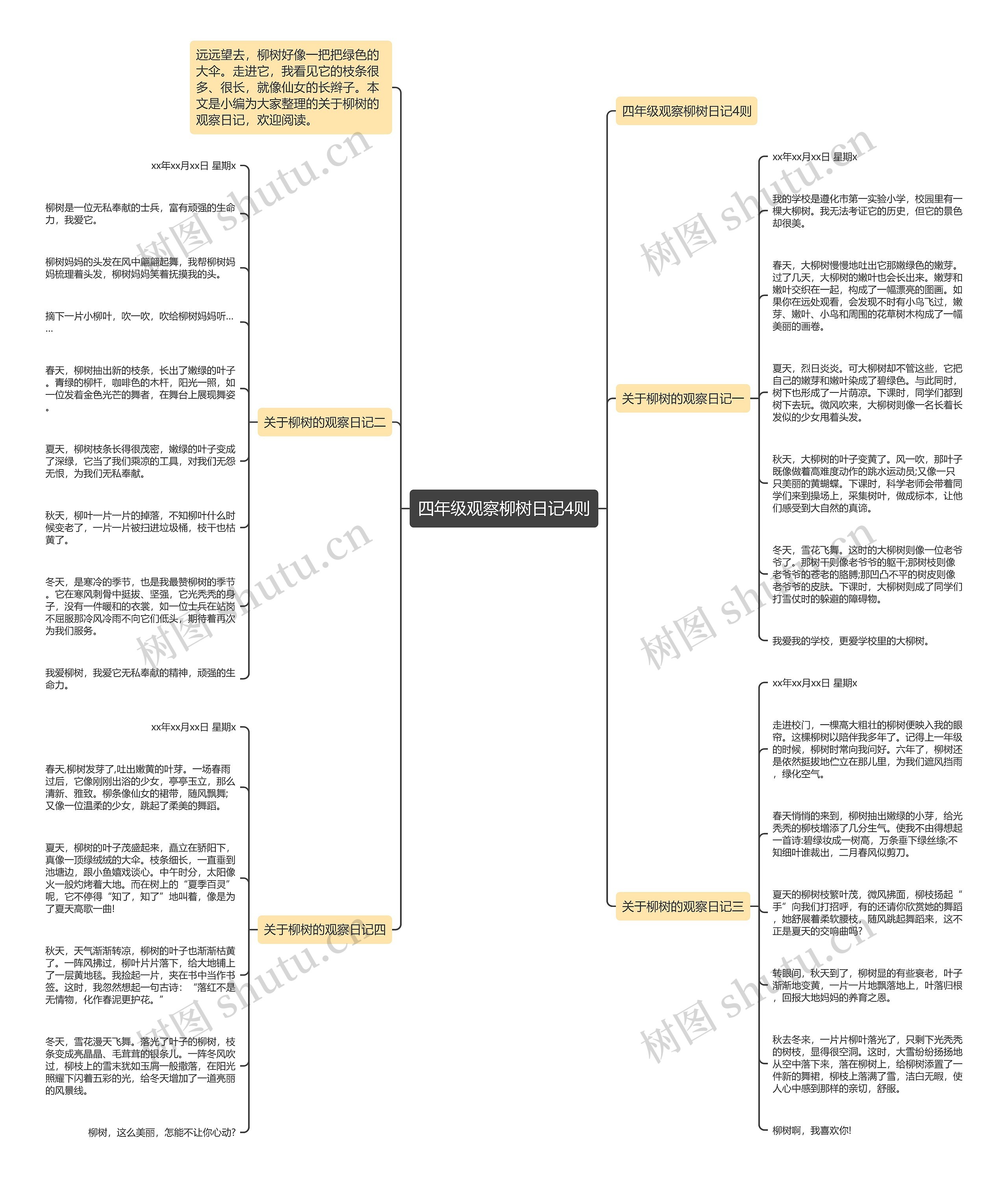 四年级观察柳树日记4则思维导图