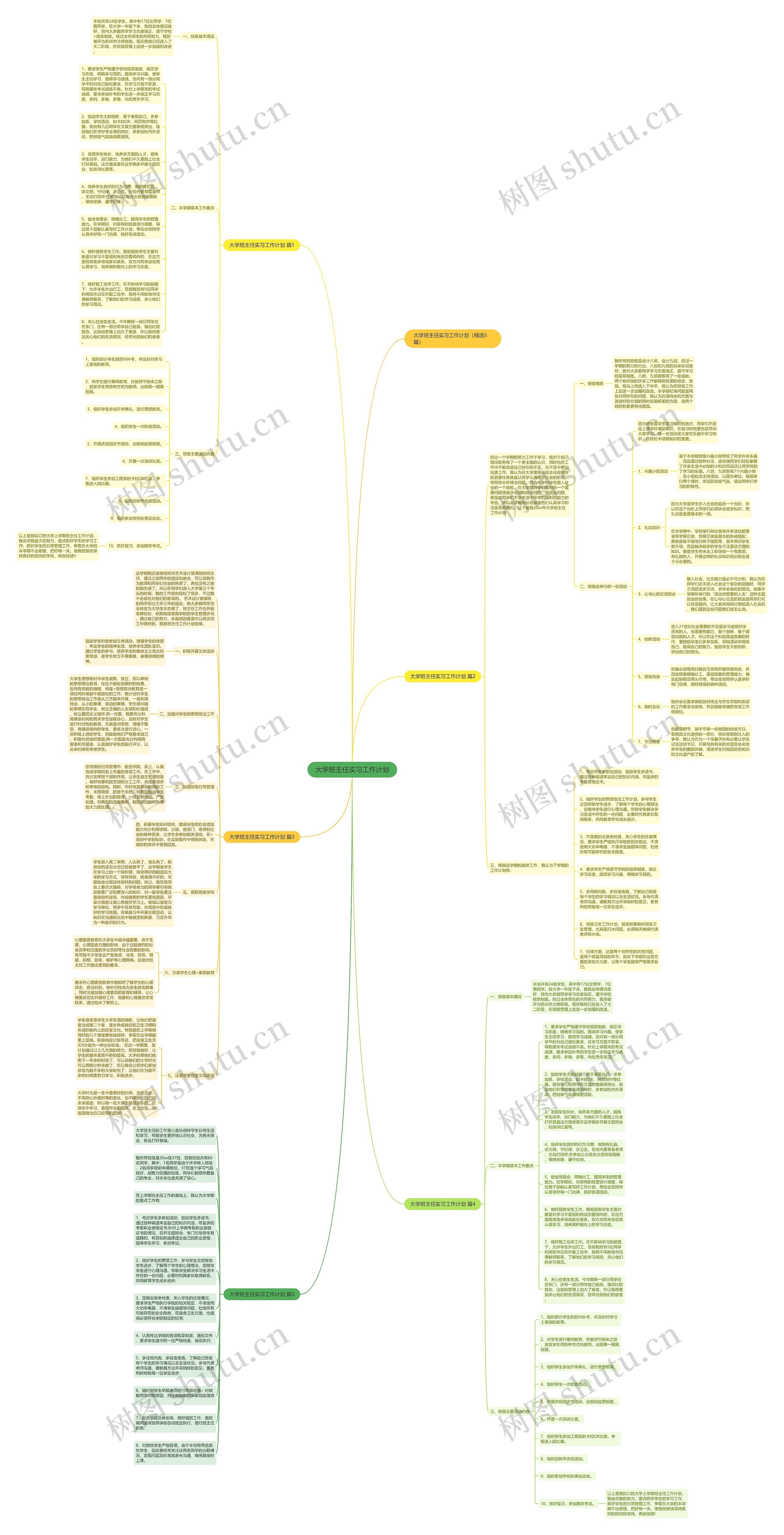 大学班主任实习工作计划思维导图