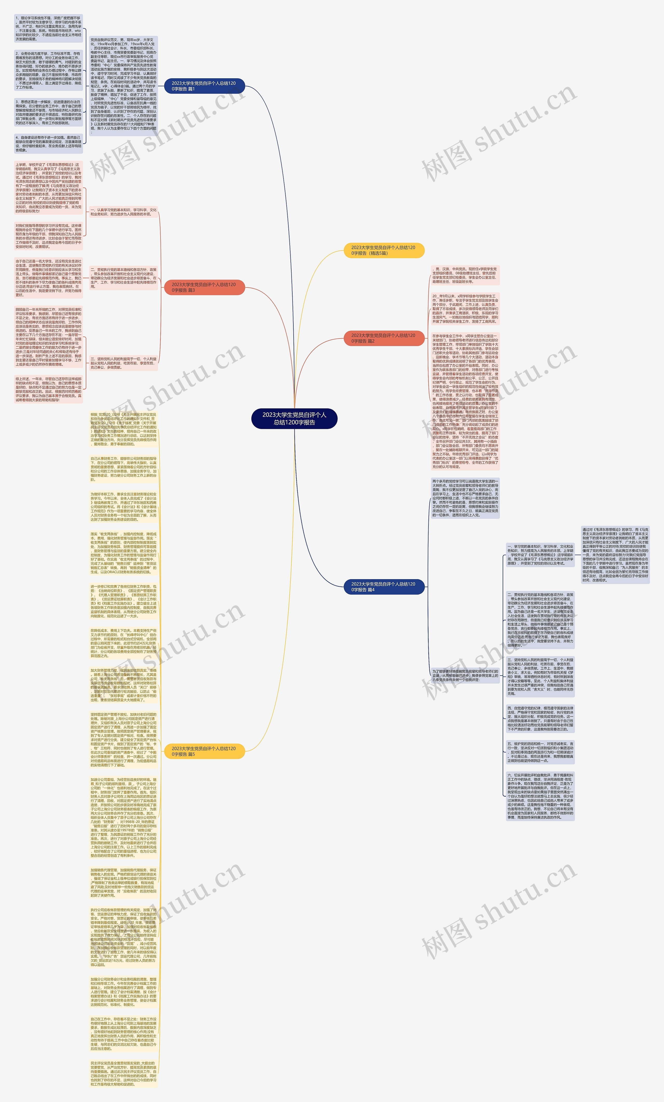 2023大学生党员自评个人总结1200字报告思维导图