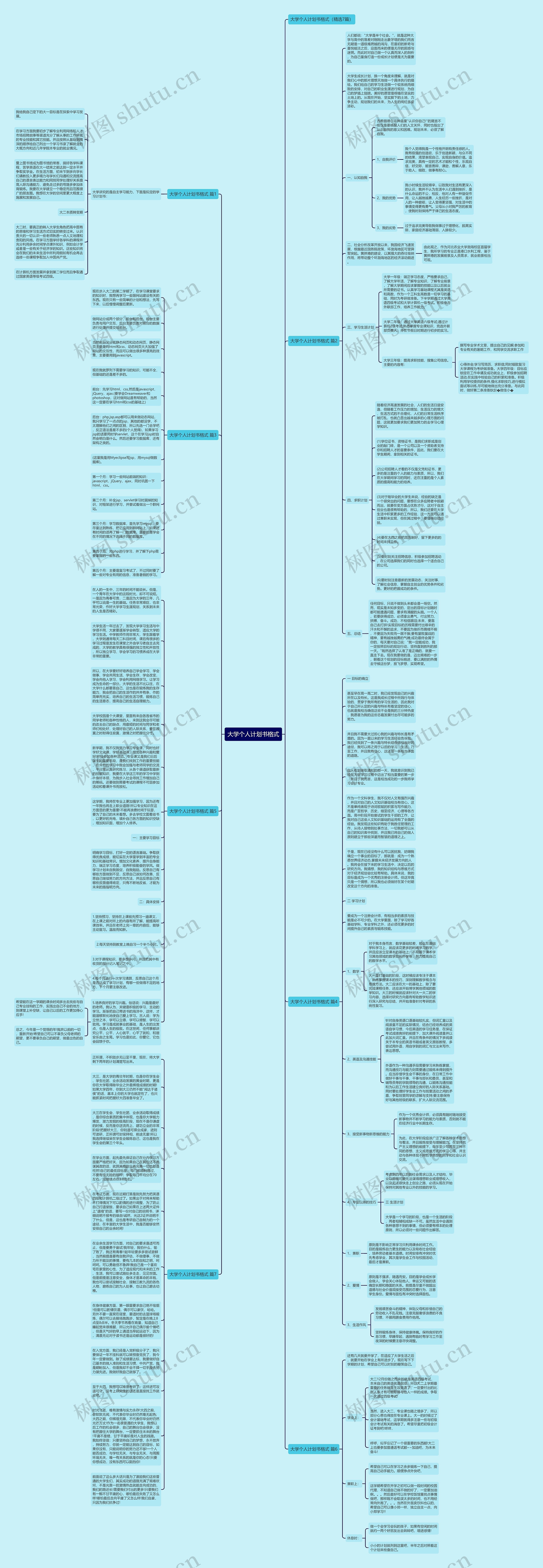 大学个人计划书格式思维导图