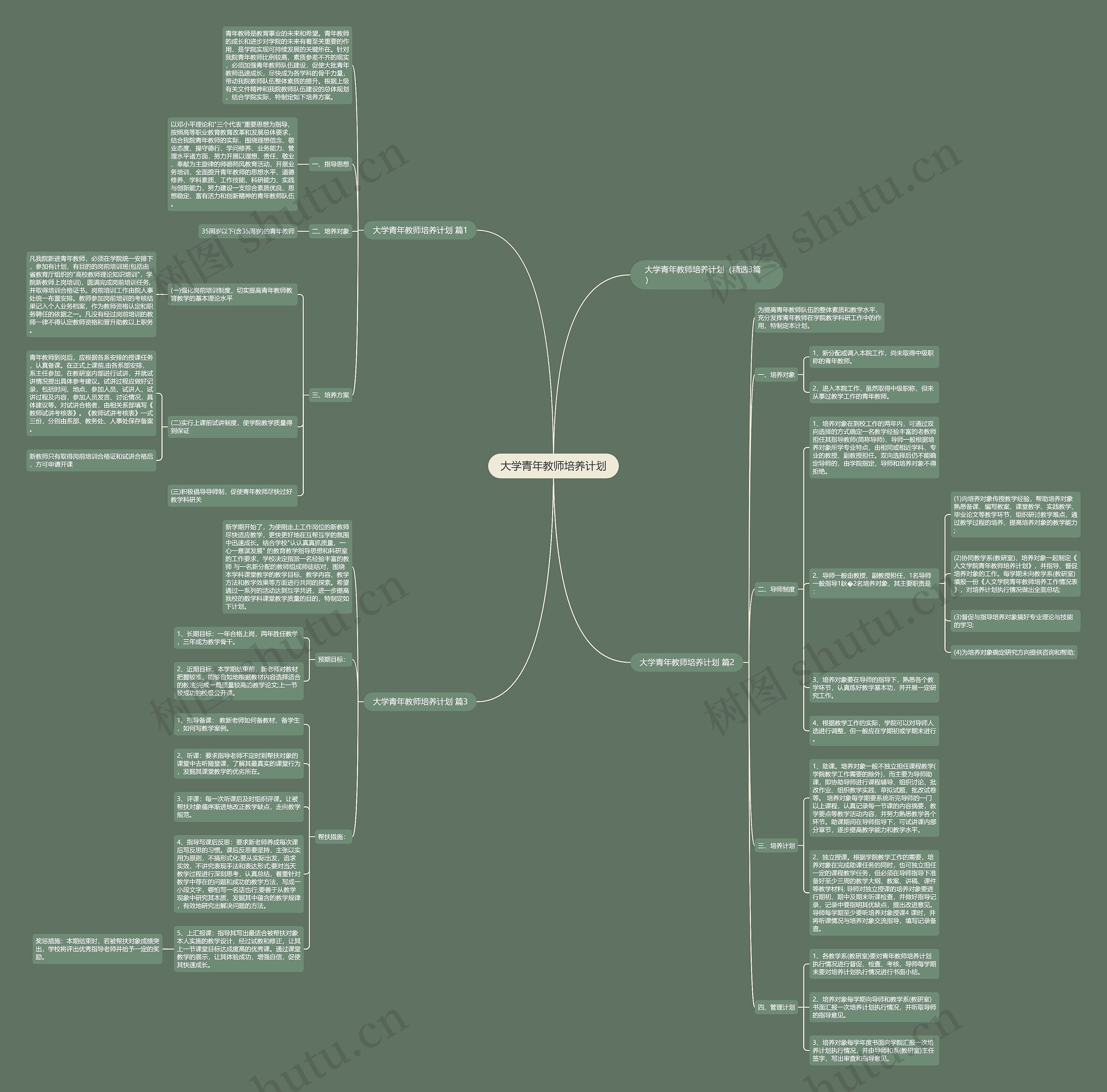 大学青年教师培养计划思维导图