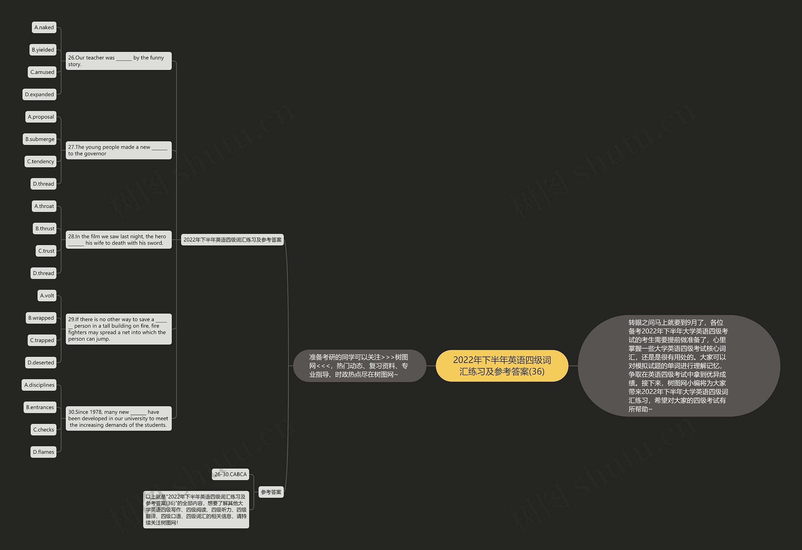 2022年下半年英语四级词汇练习及参考答案(36)思维导图
