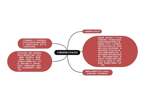 小辣椒种植小学生日记