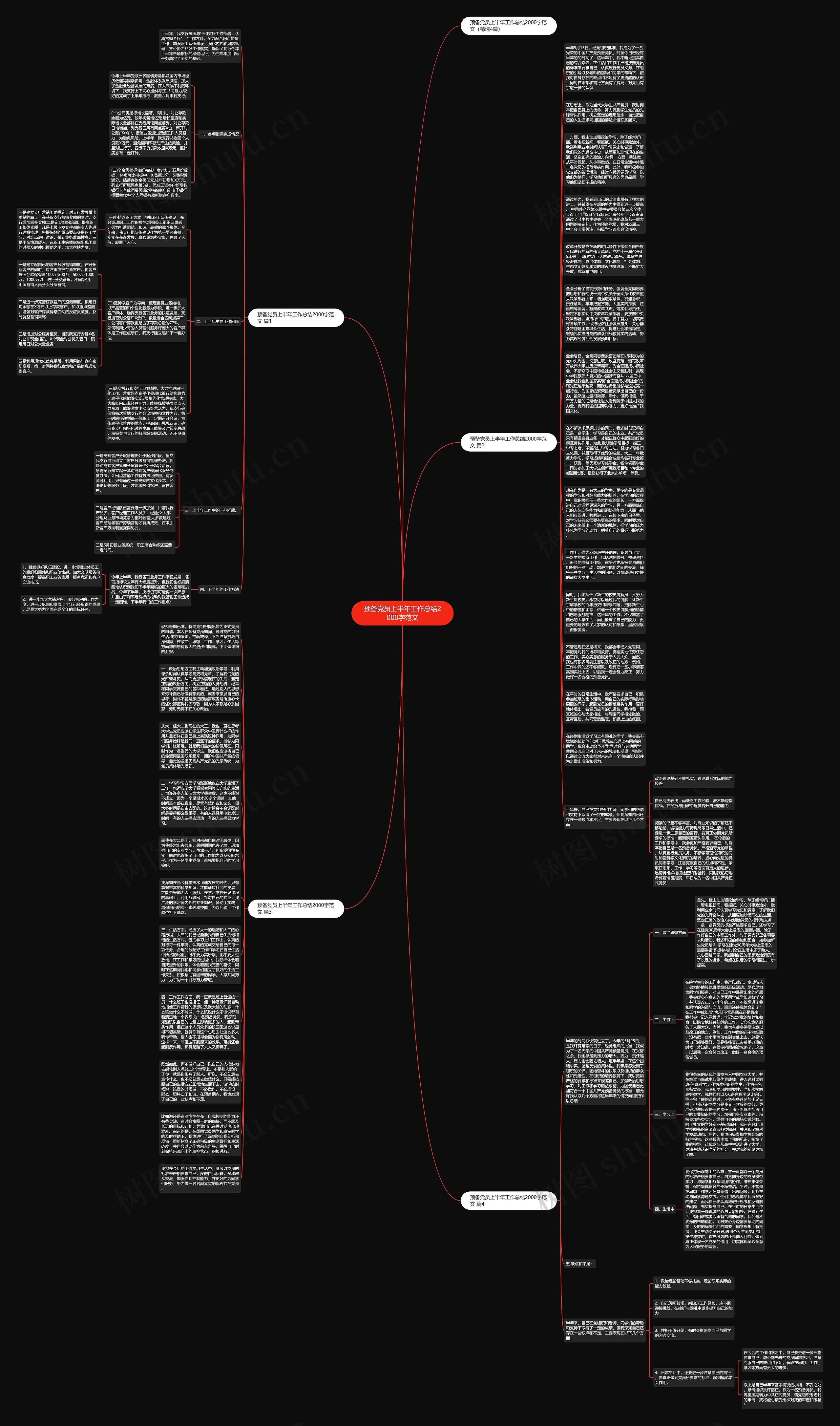 预备党员上半年工作总结2000字范文思维导图