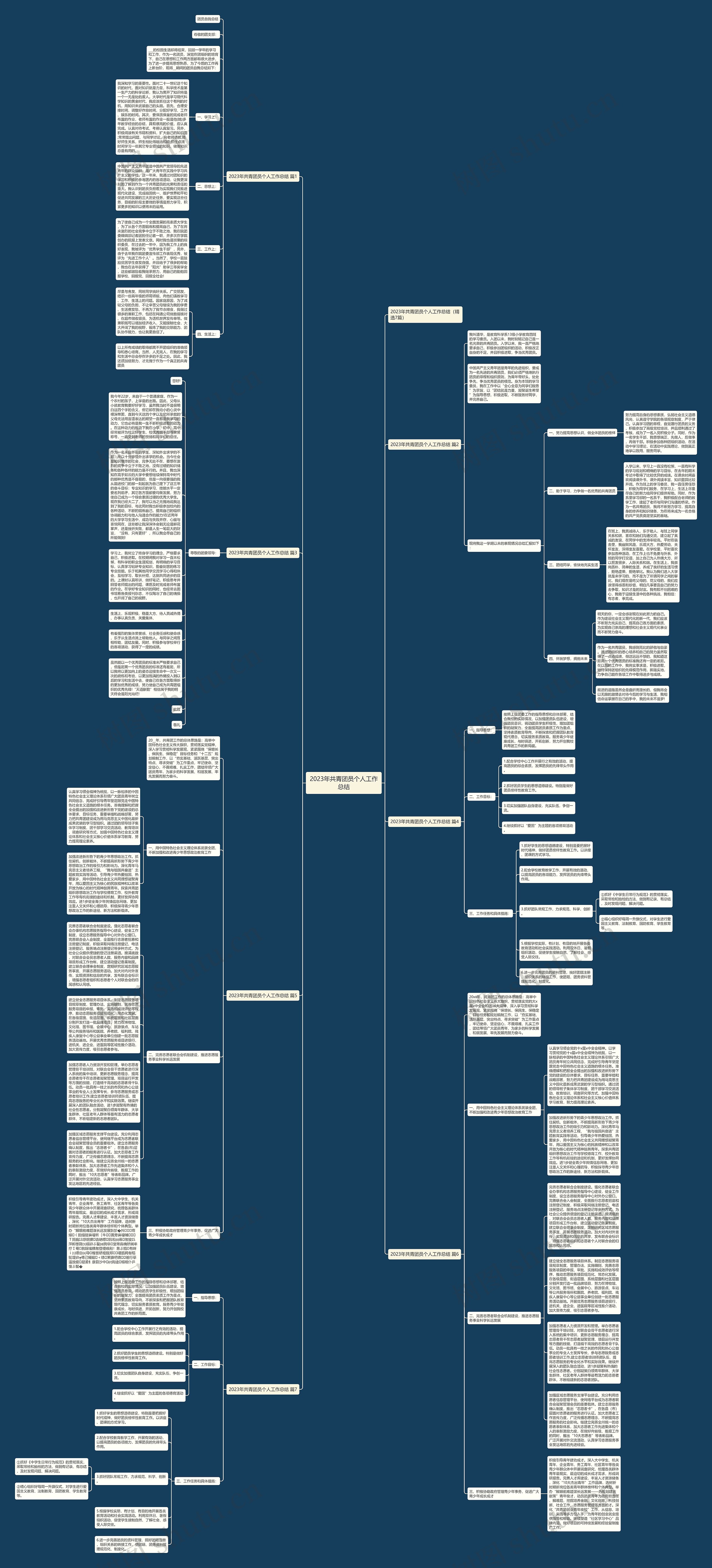 2023年共青团员个人工作总结思维导图