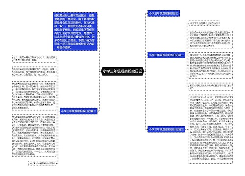 小学三年级观察蚂蚁日记