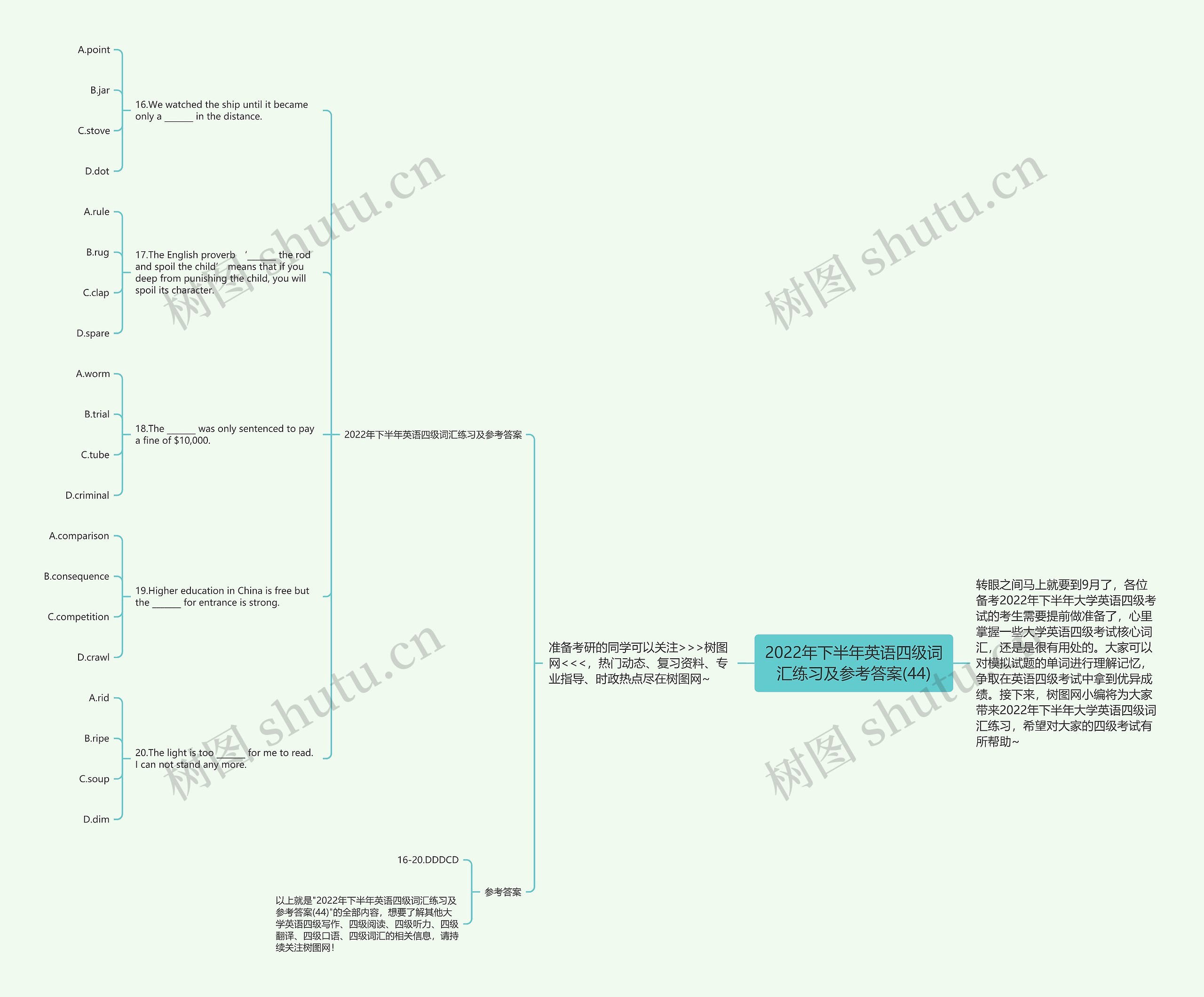 2022年下半年英语四级词汇练习及参考答案(44)思维导图