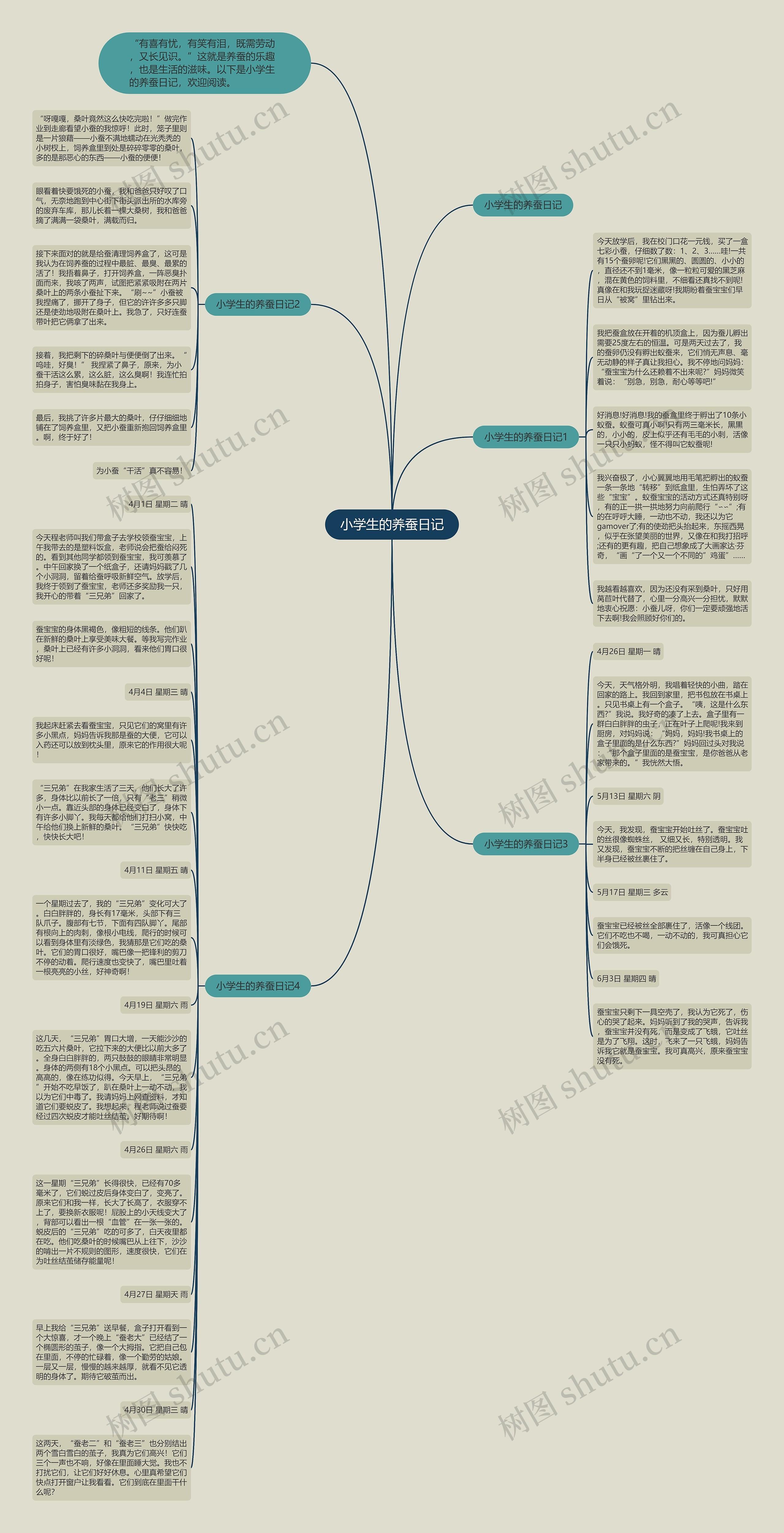 小学生的养蚕日记思维导图