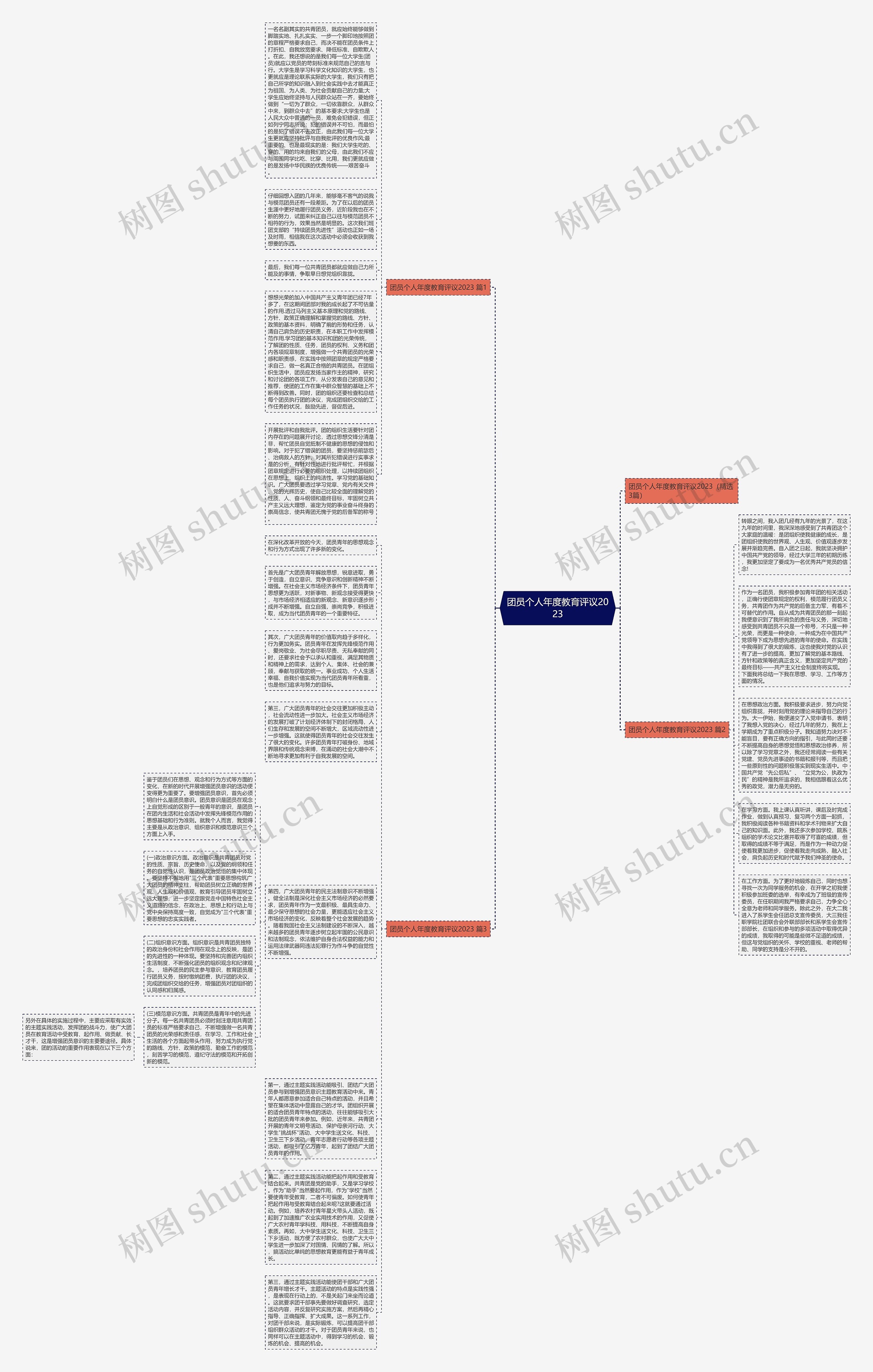 团员个人年度教育评议2023思维导图