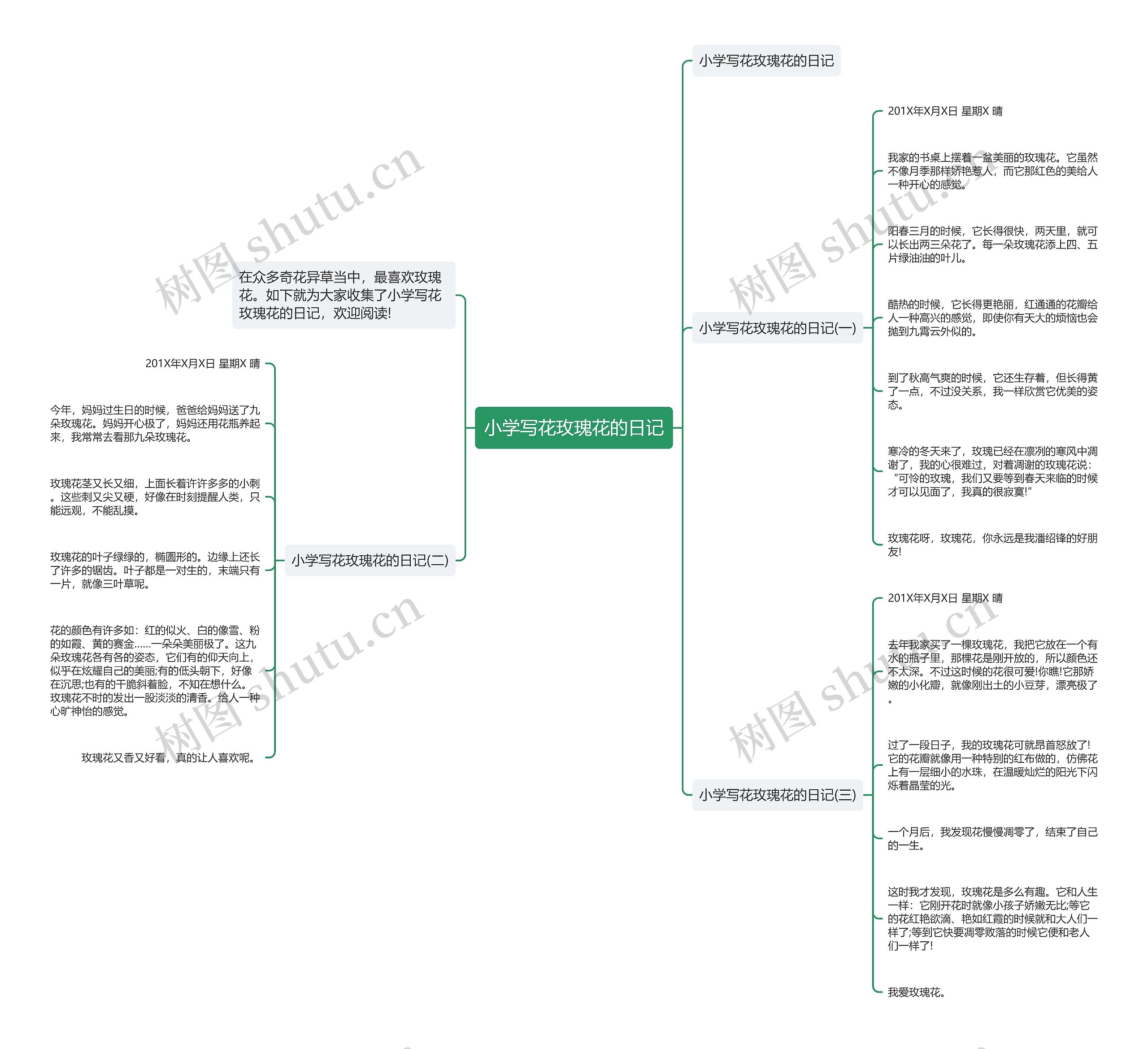 小学写花玫瑰花的日记思维导图