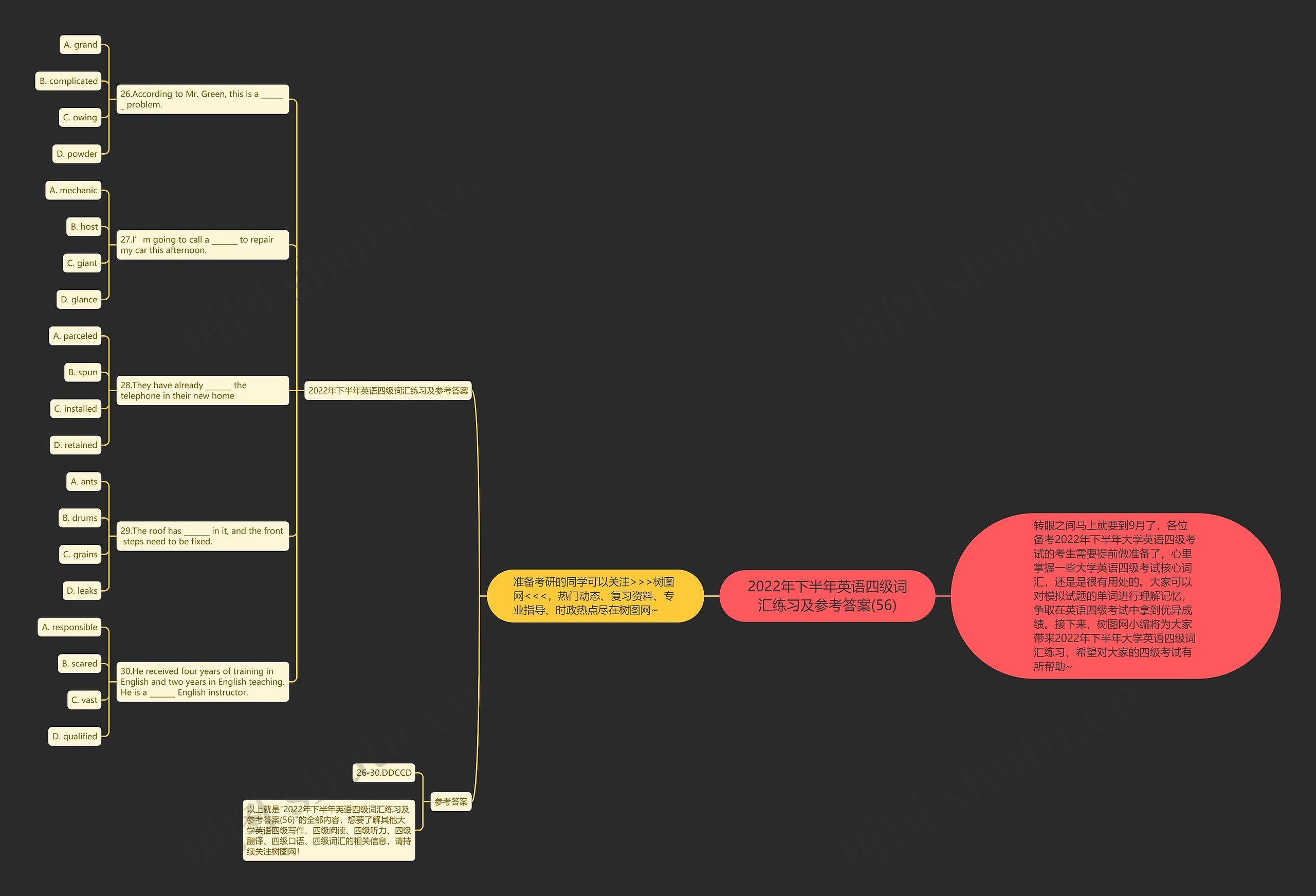 2022年下半年英语四级词汇练习及参考答案(56)思维导图