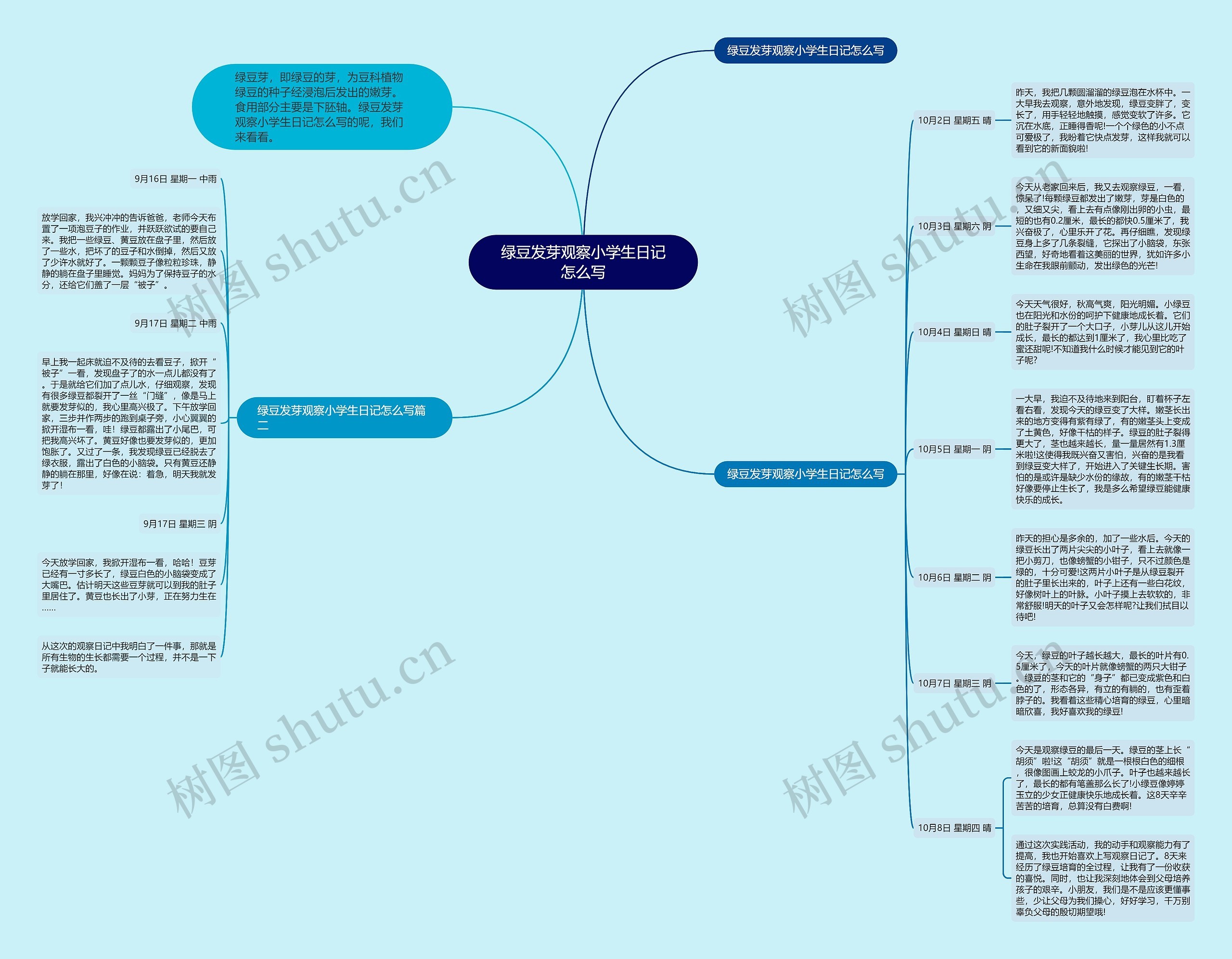 绿豆发芽观察小学生日记怎么写思维导图