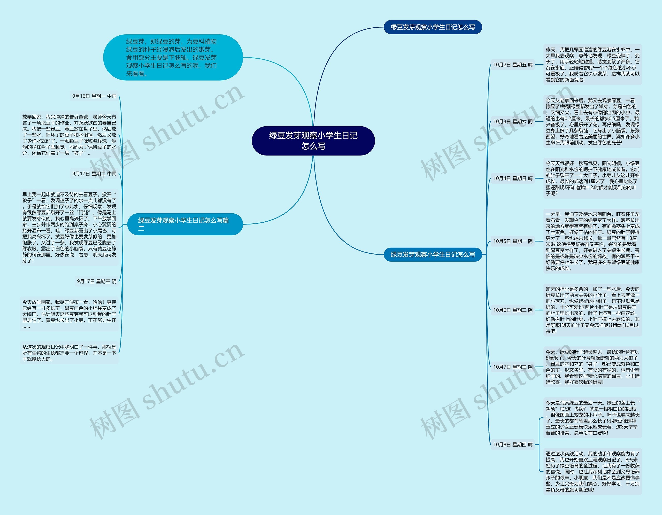 绿豆发芽观察小学生日记怎么写 绿豆发芽观察小学生日记怎么写