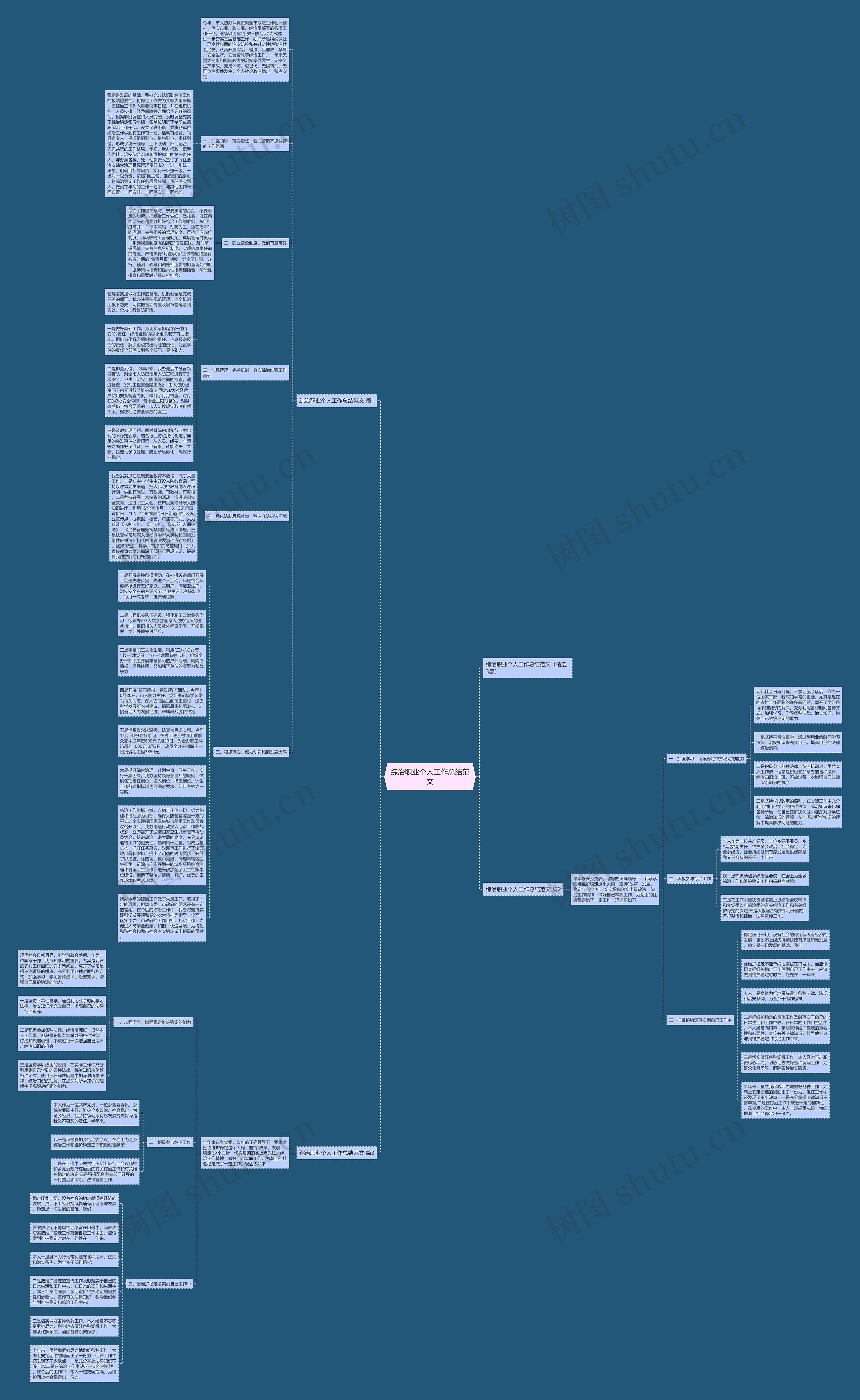 综治职业个人工作总结范文思维导图