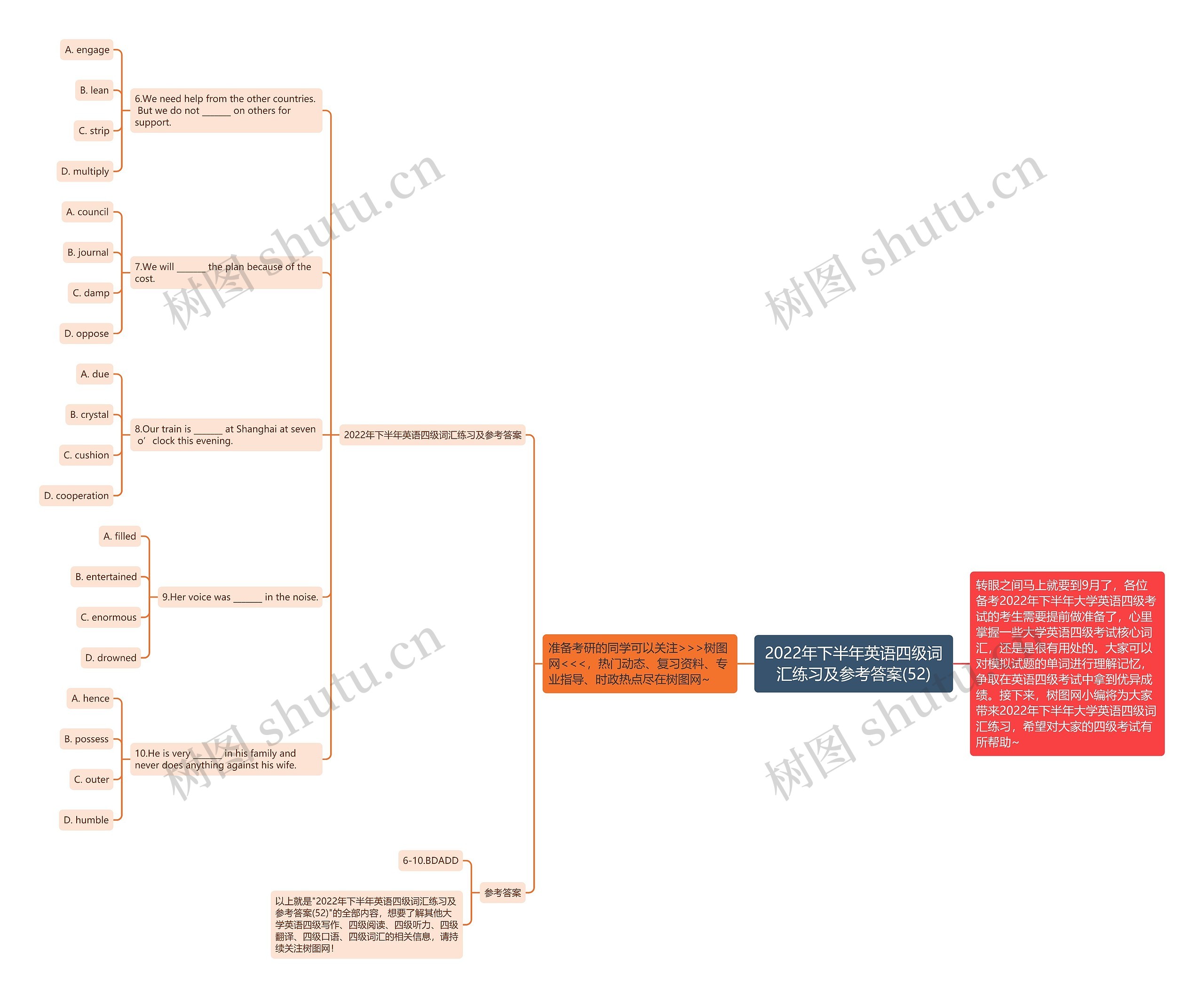 2022年下半年英语四级词汇练习及参考答案(52)思维导图