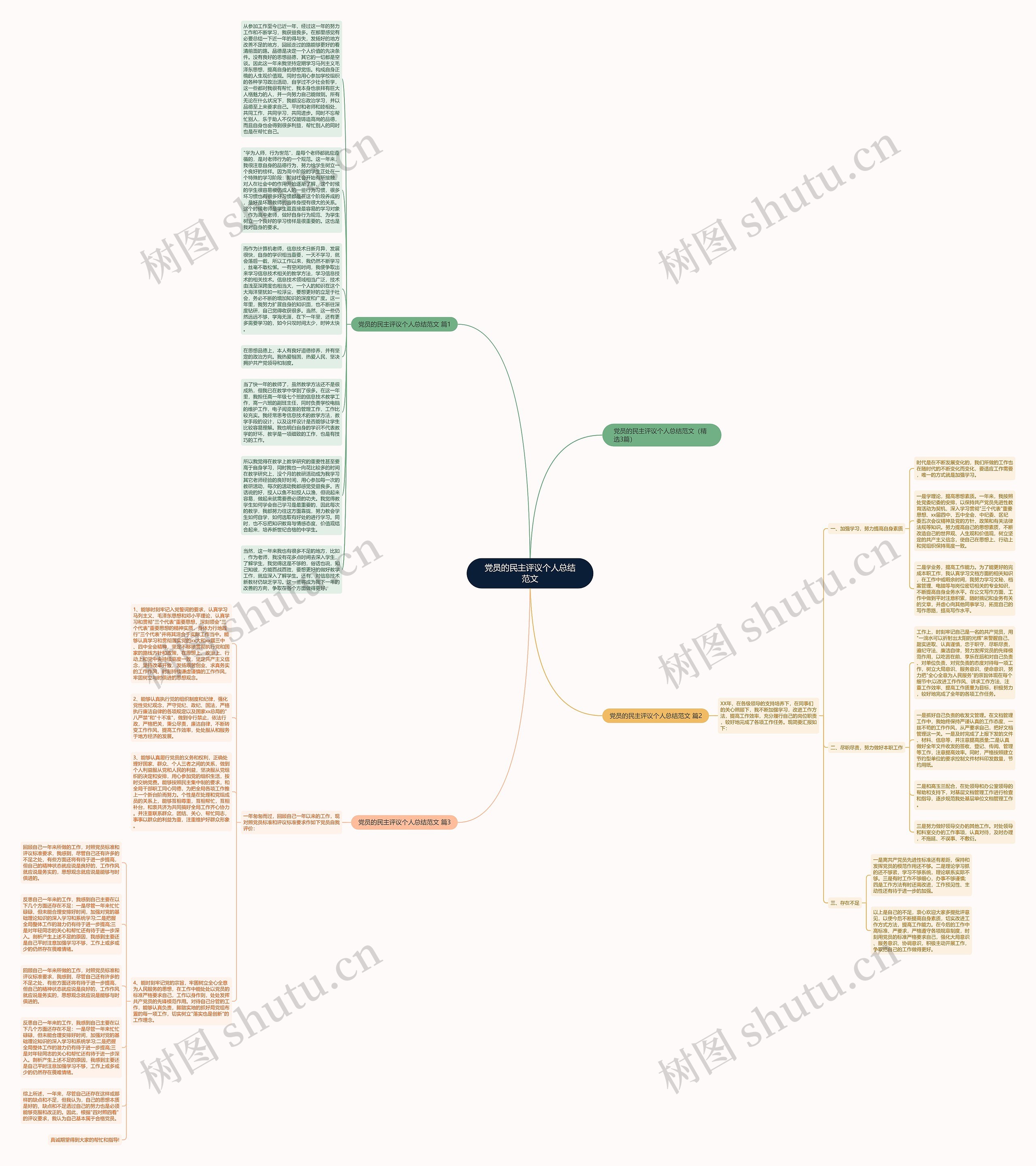 党员的民主评议个人总结范文思维导图高清图 党员的民主评议个人总结范文思维导图
