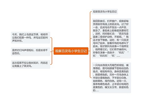 观察百灵鸟小学生日记