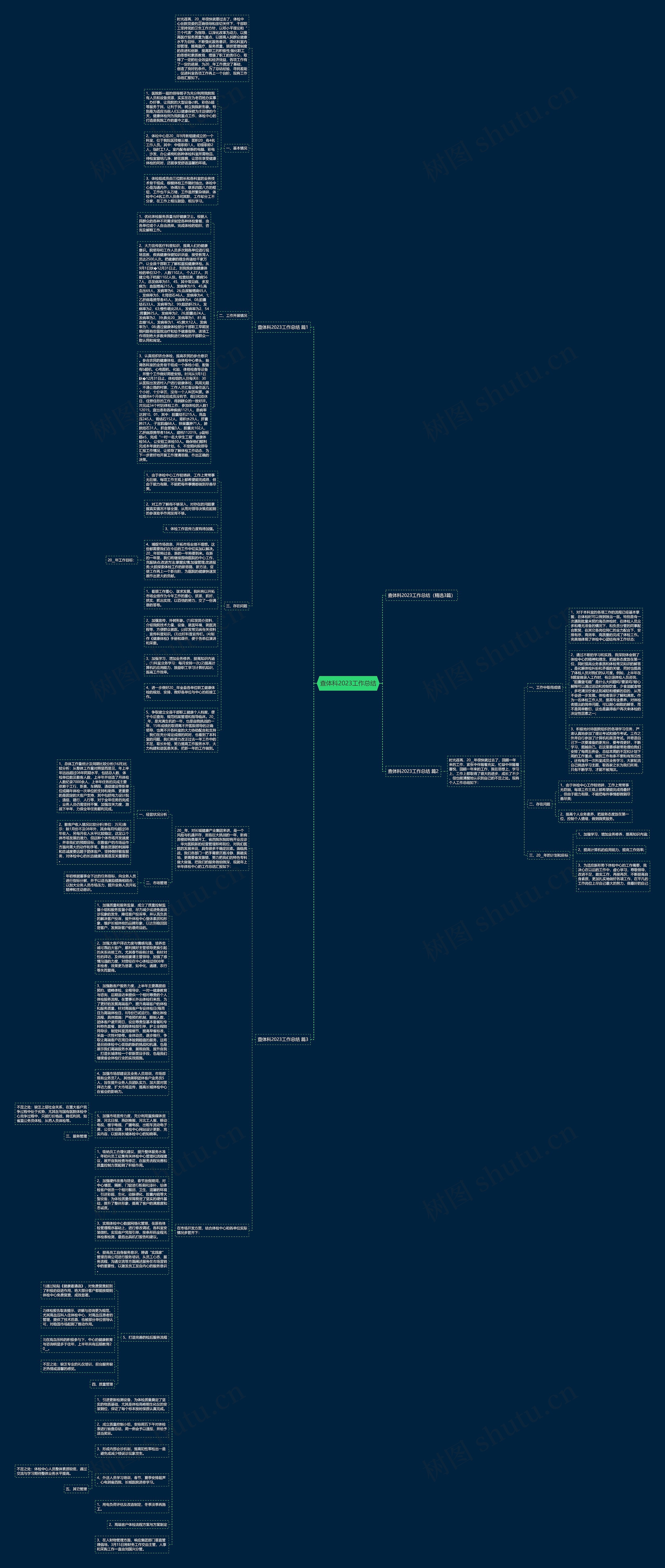查体科2023工作总结思维导图