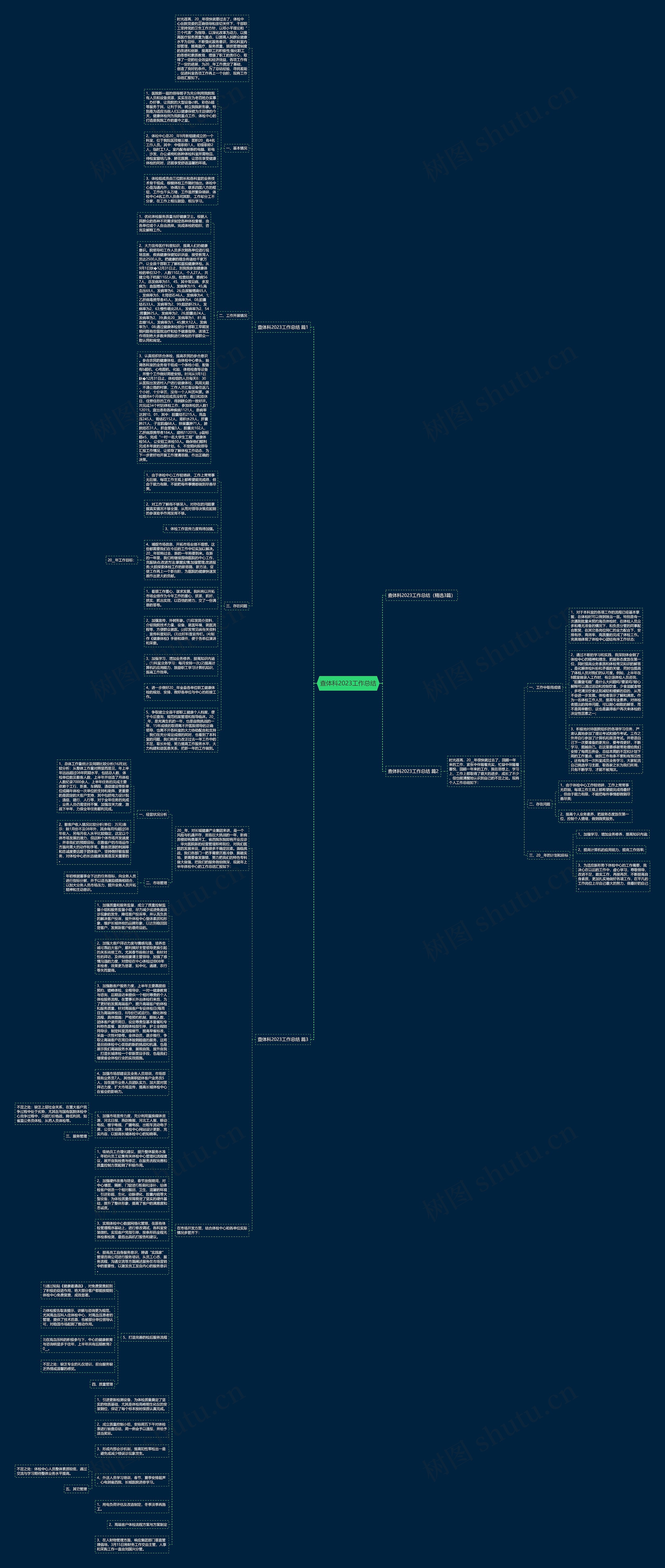 查体科2023工作总结思维导图高清图 查体科2023工作总结思维导图