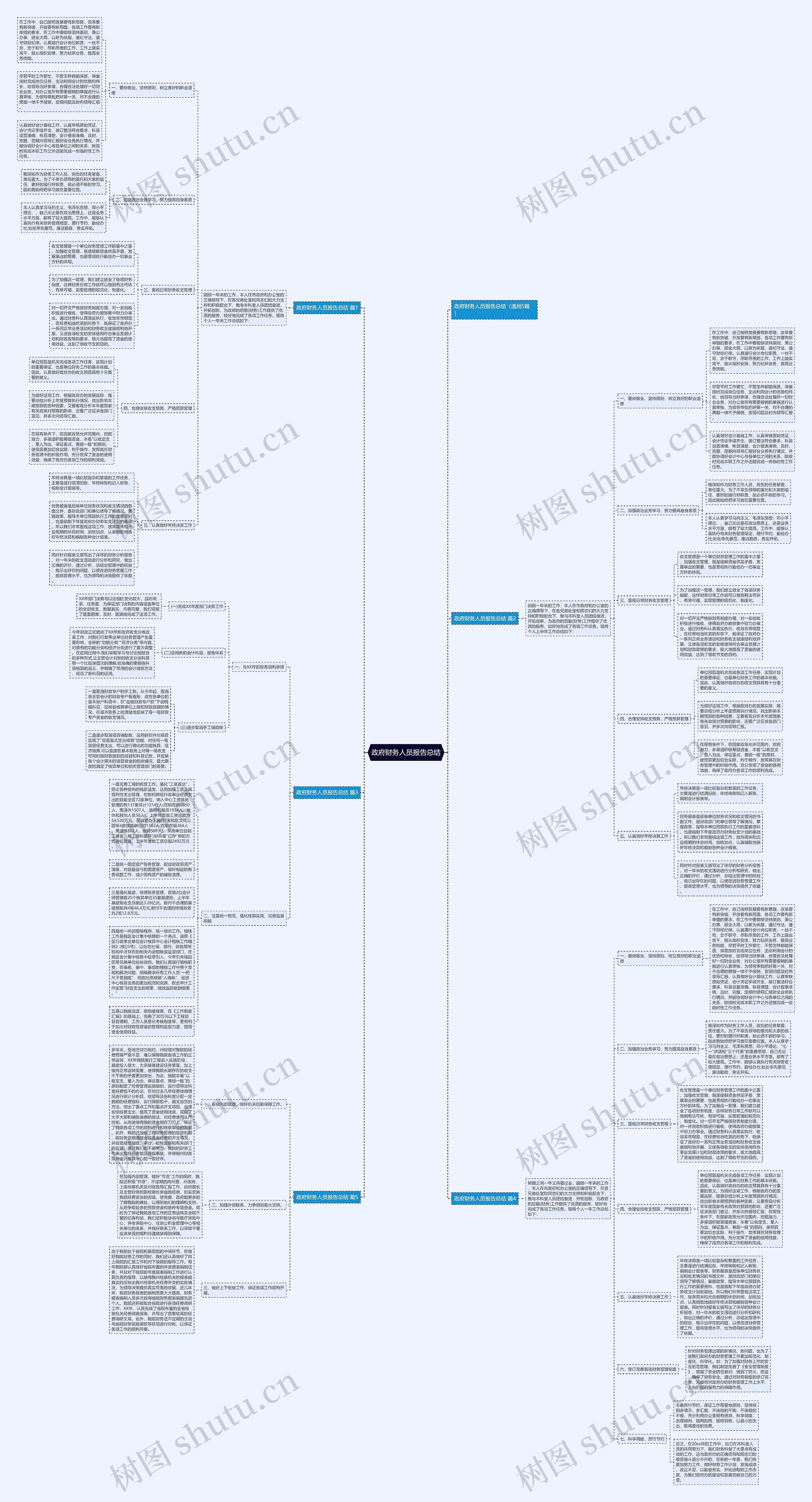 政府财务人员报告总结思维导图