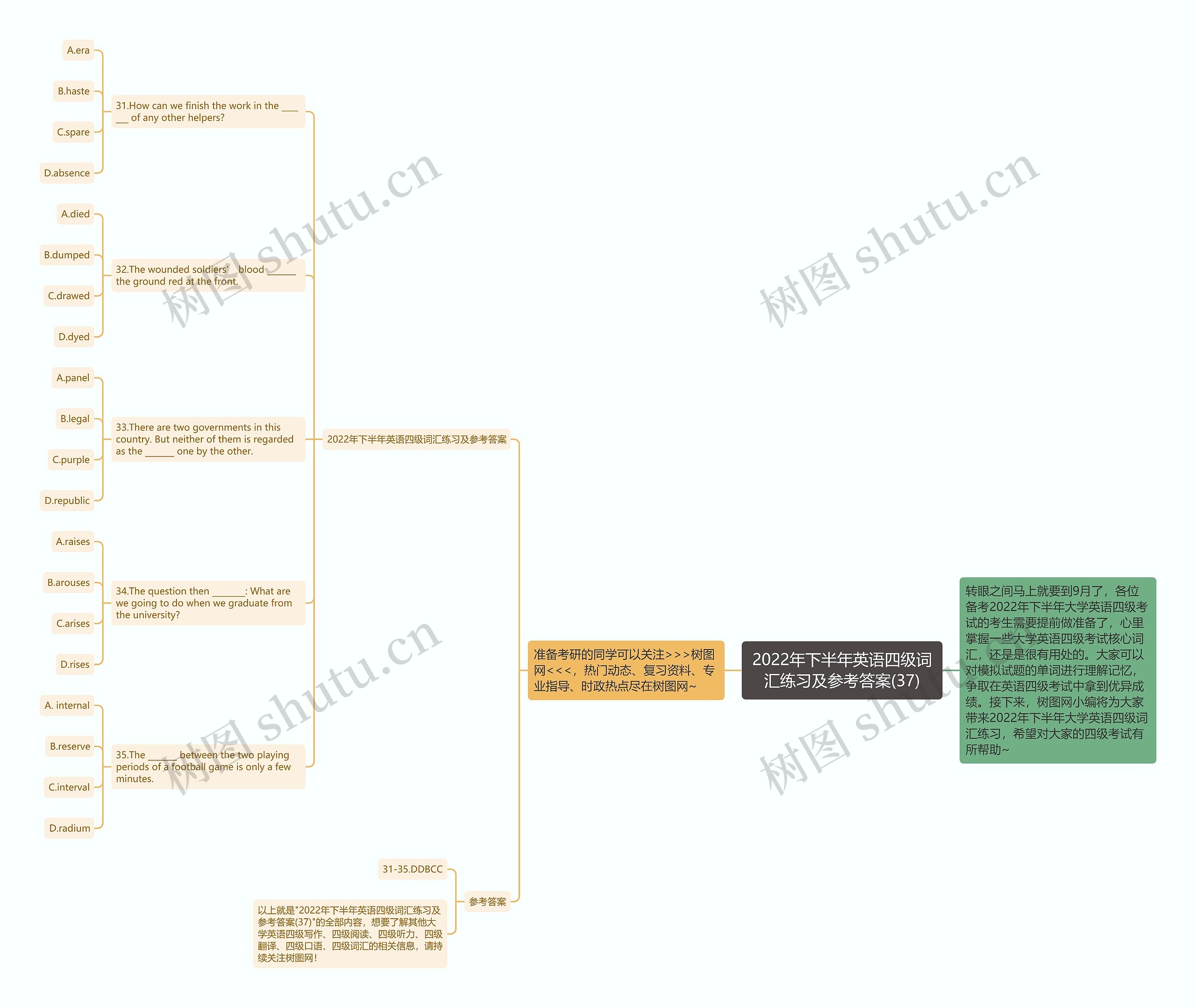 2022年下半年英语四级词汇练习及参考答案(37)思维导图