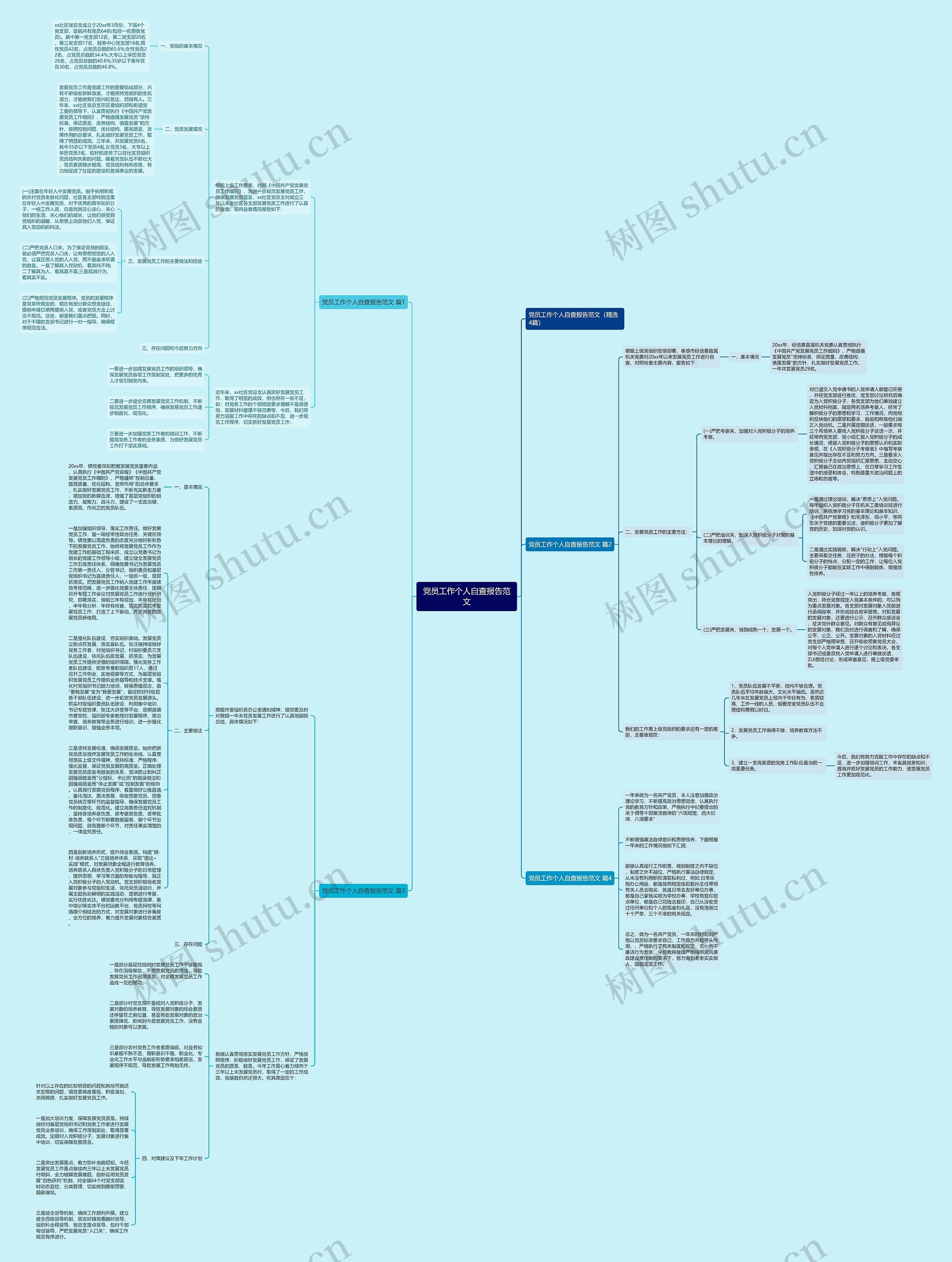 党员工作个人自查报告范文思维导图