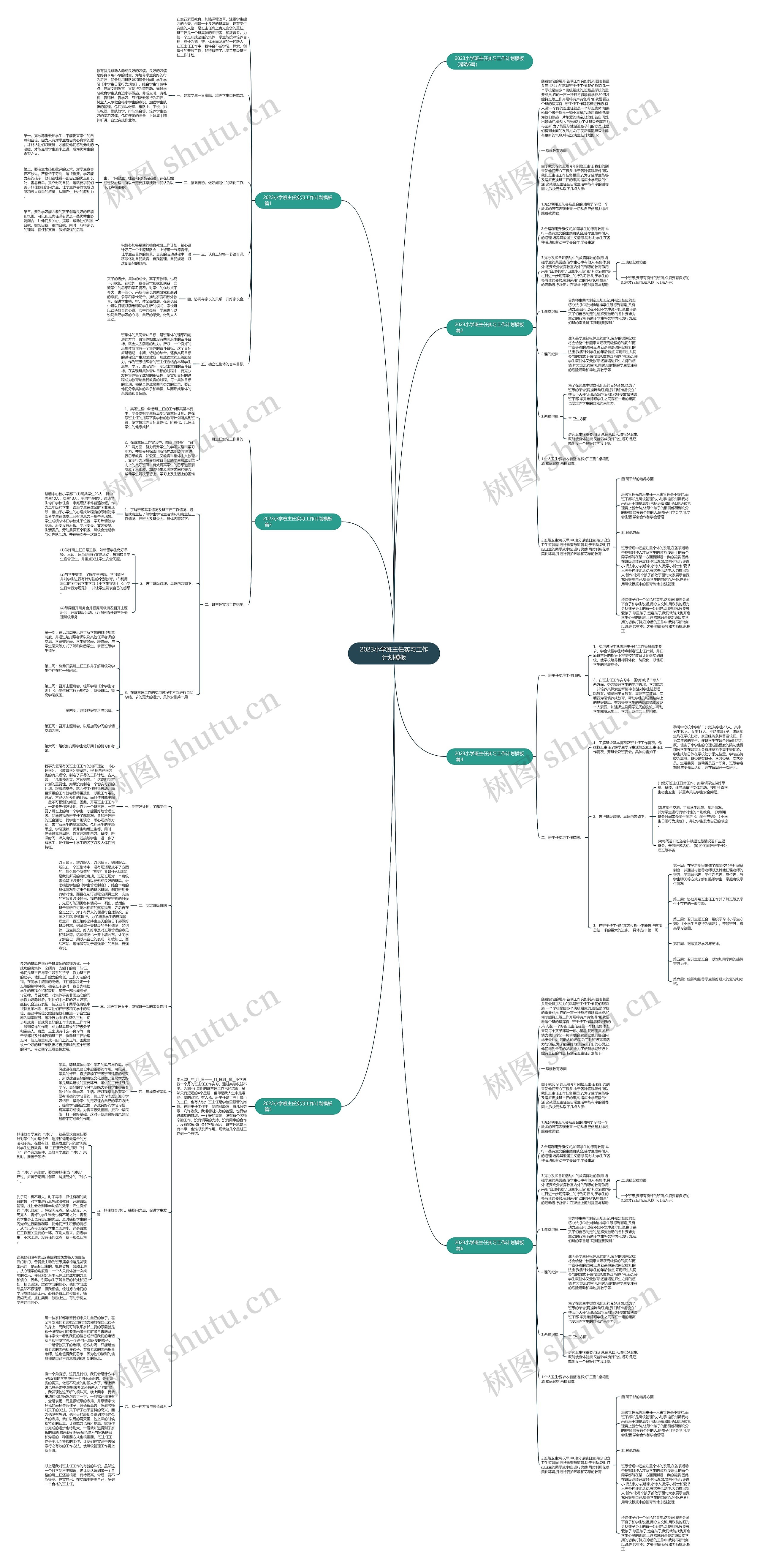 2023小学班主任实习工作计划思维导图