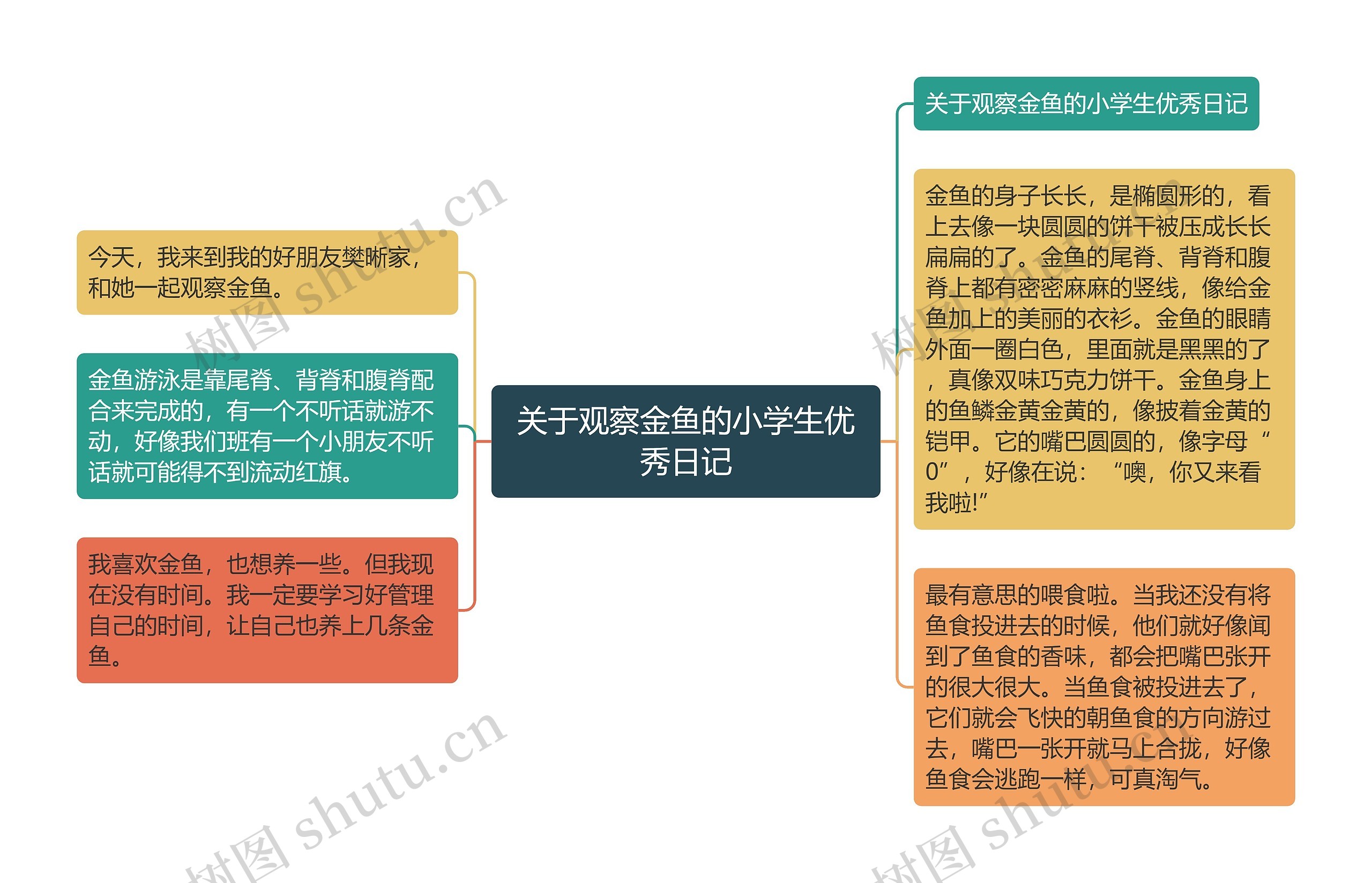 关于观察金鱼的小学生优秀日记