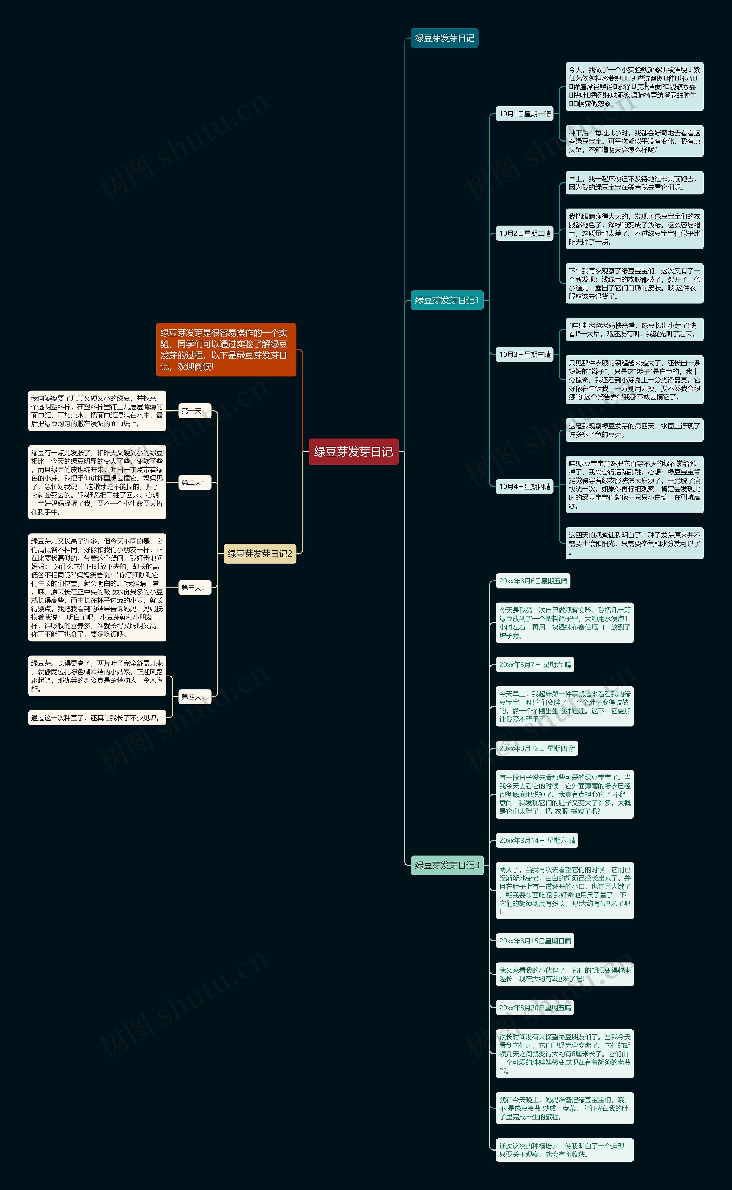 绿豆芽发芽日记思维导图