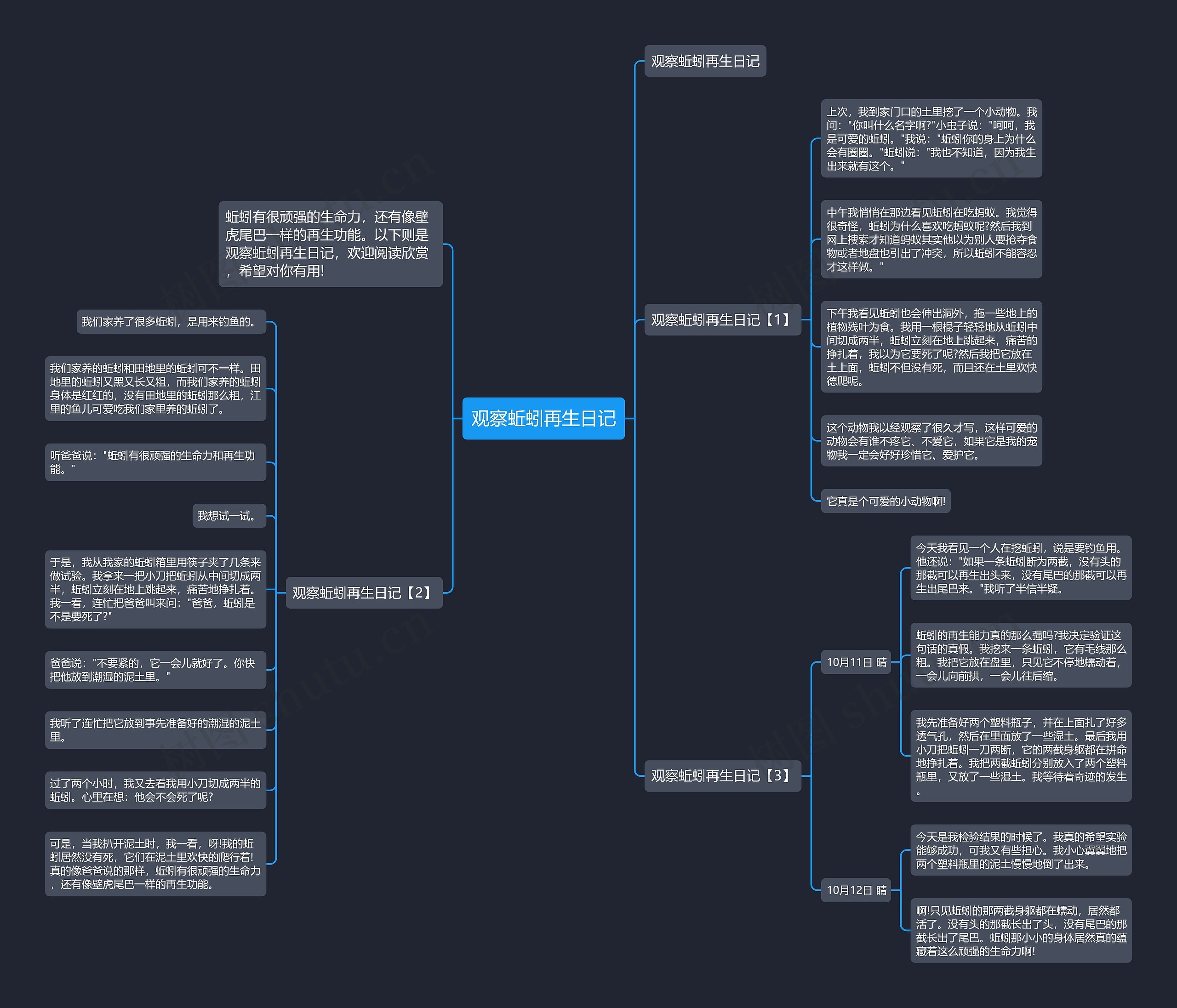 观察蚯蚓再生日记思维导图