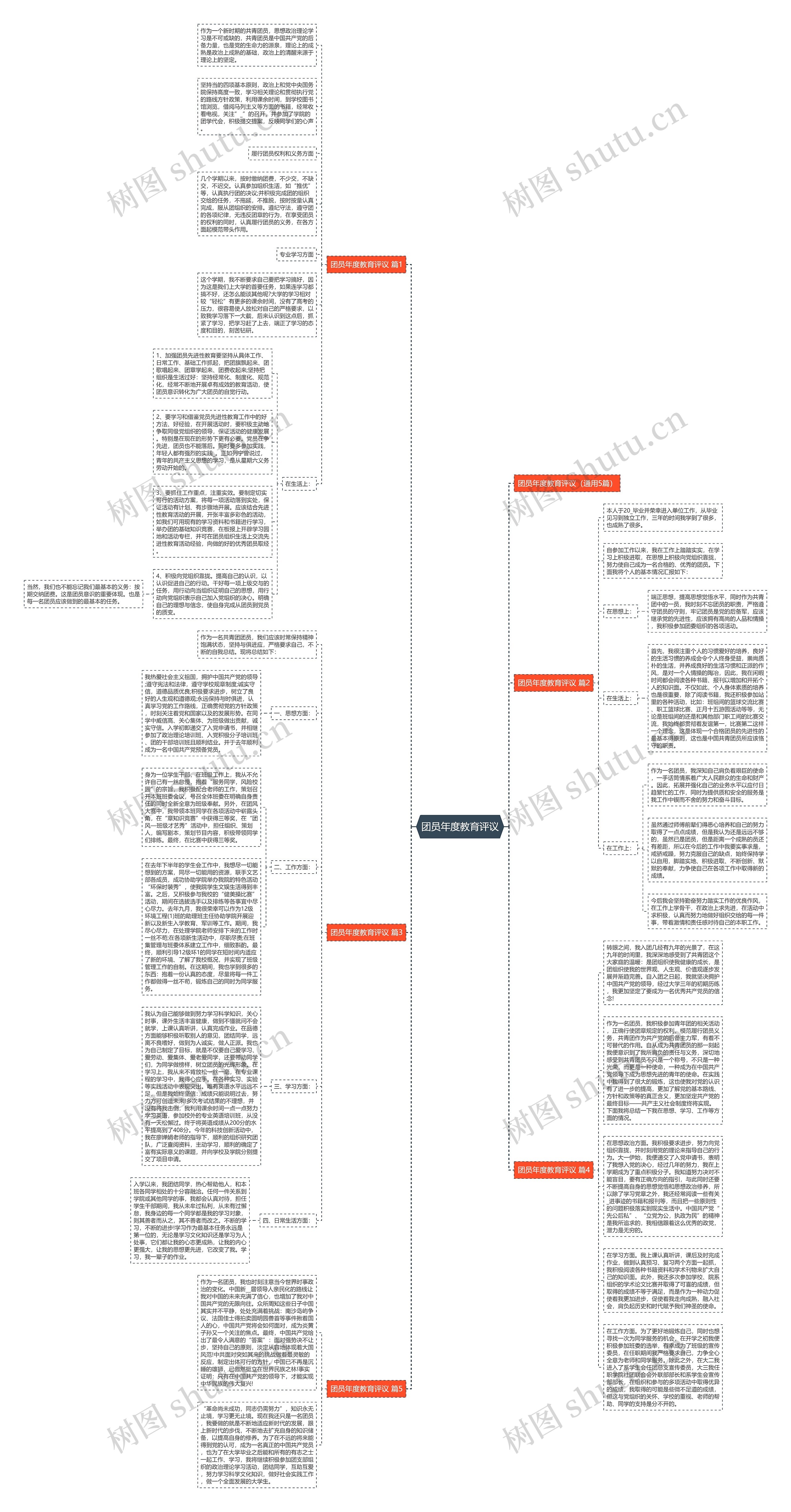 团员年度教育评议思维导图