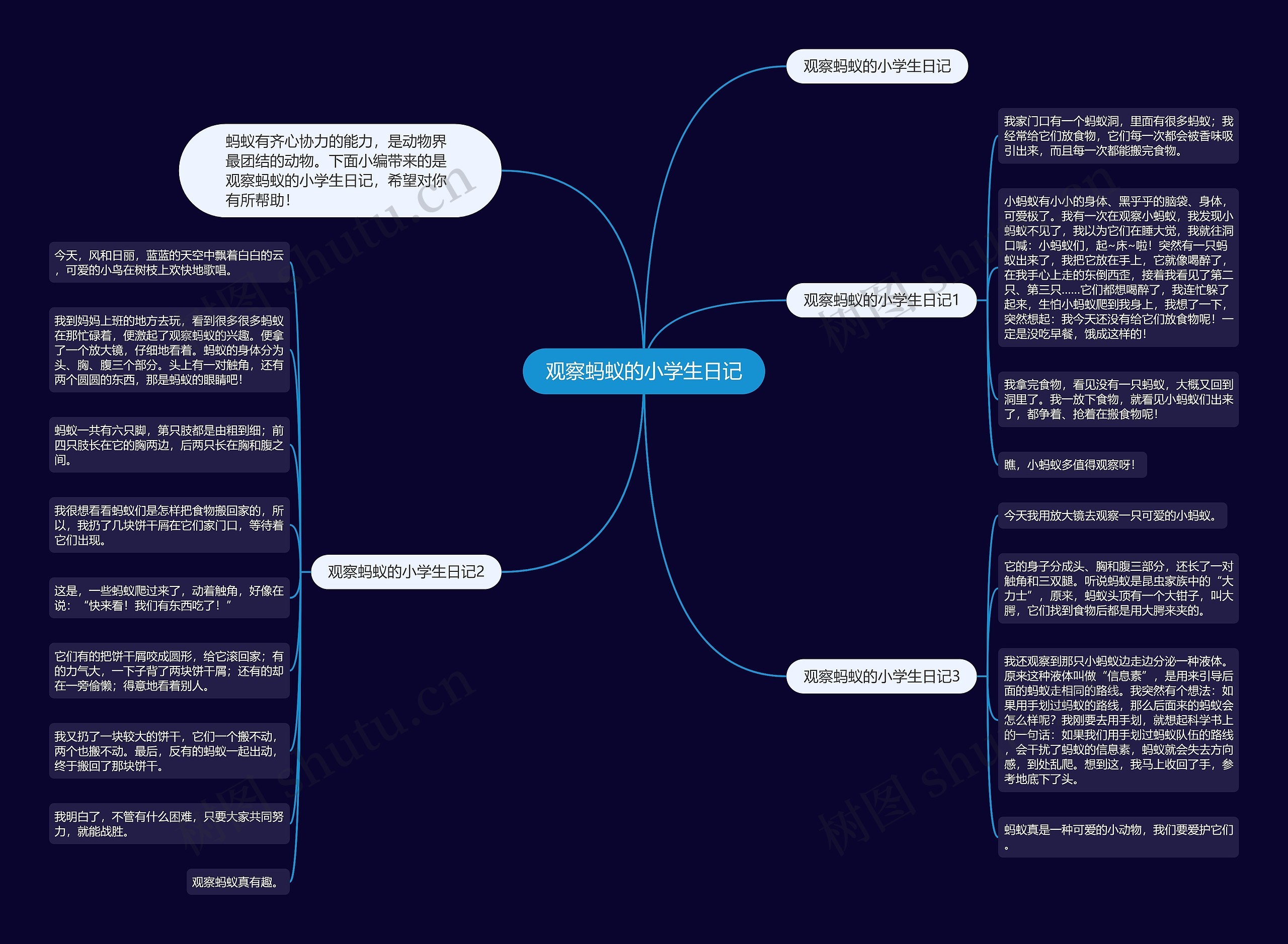 观察蚂蚁的小学生日记思维导图