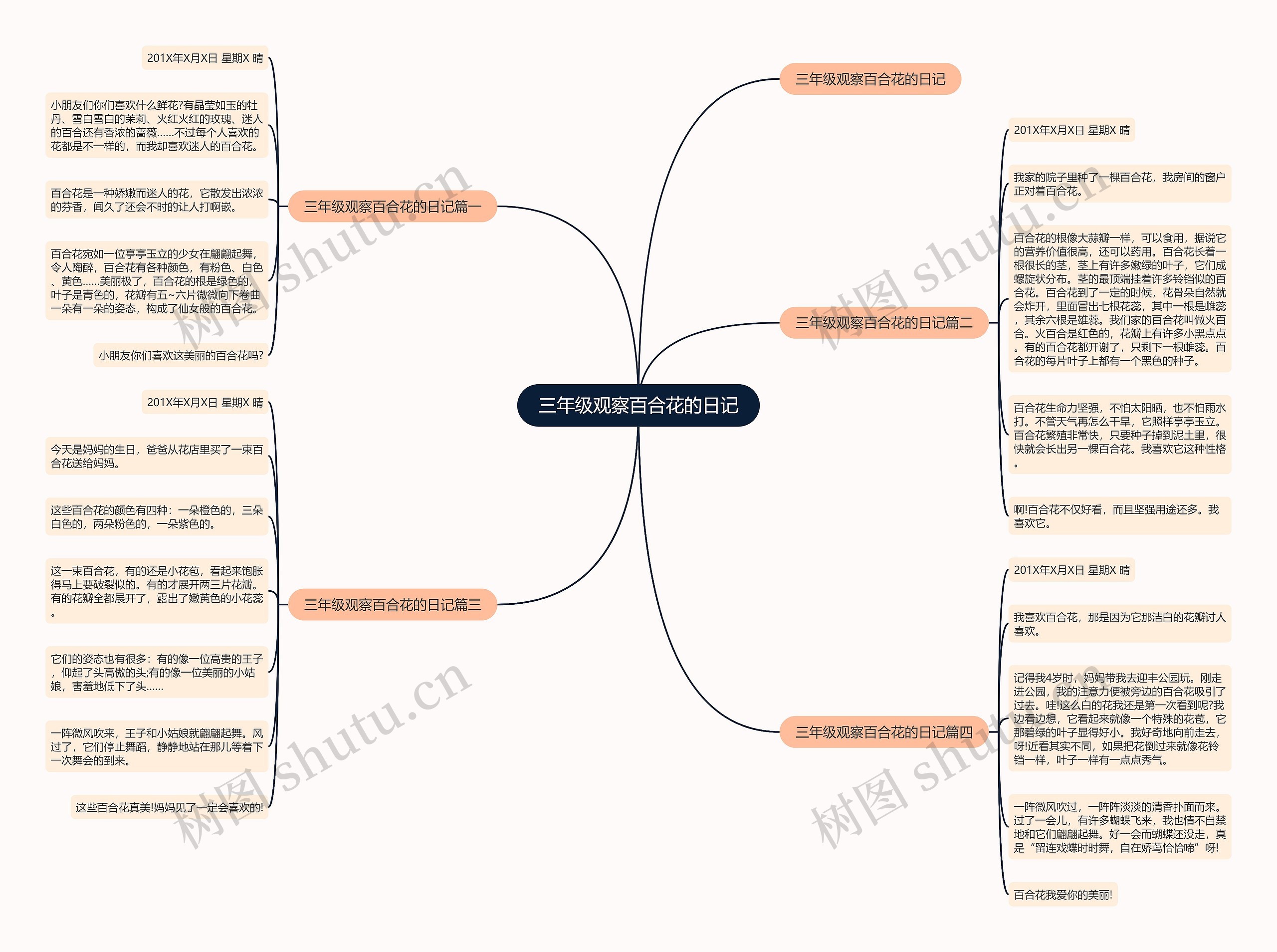 三年级观察百合花的日记思维导图