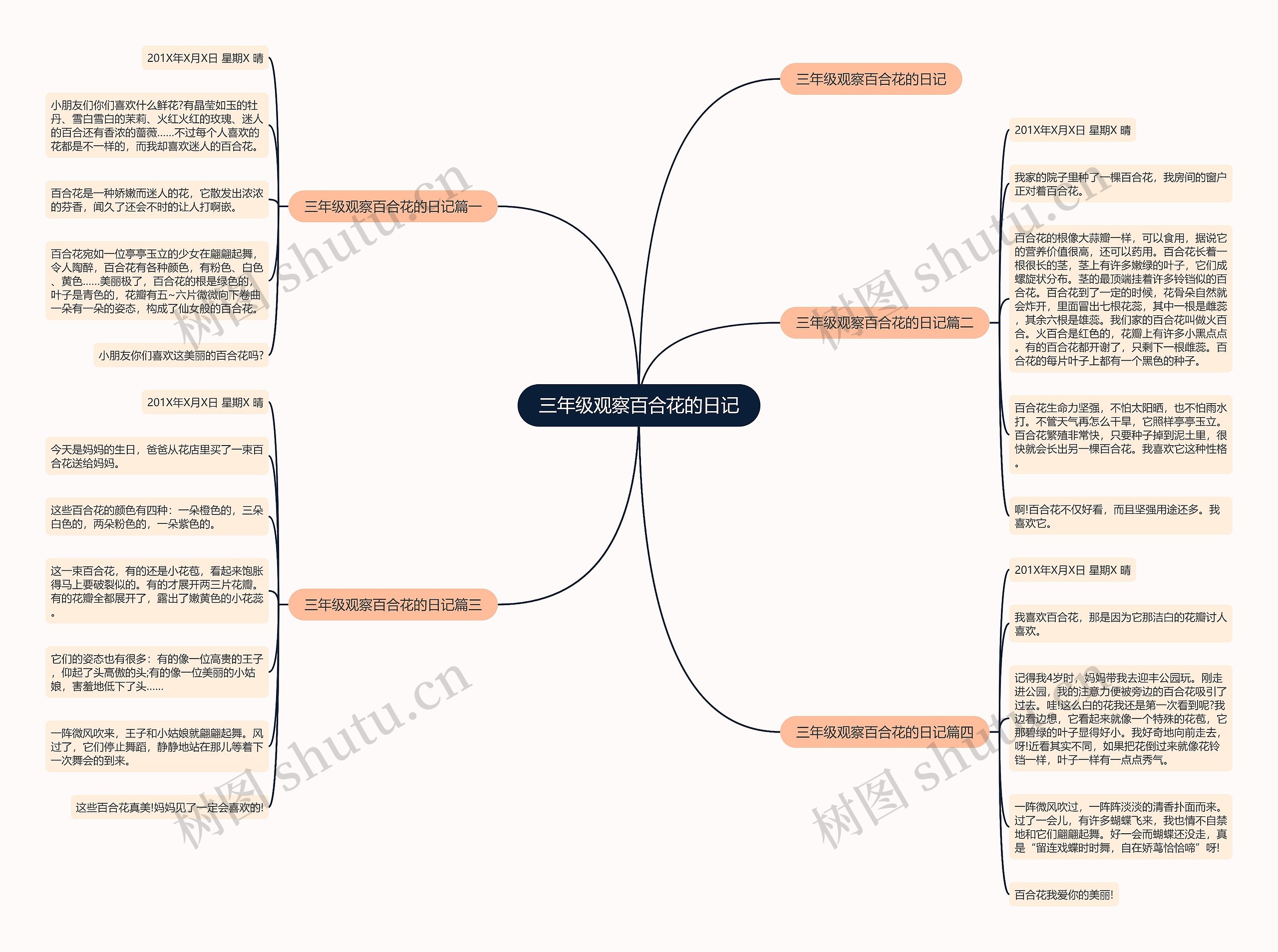 三年级观察百合花的日记 三年级观察百合花的日记