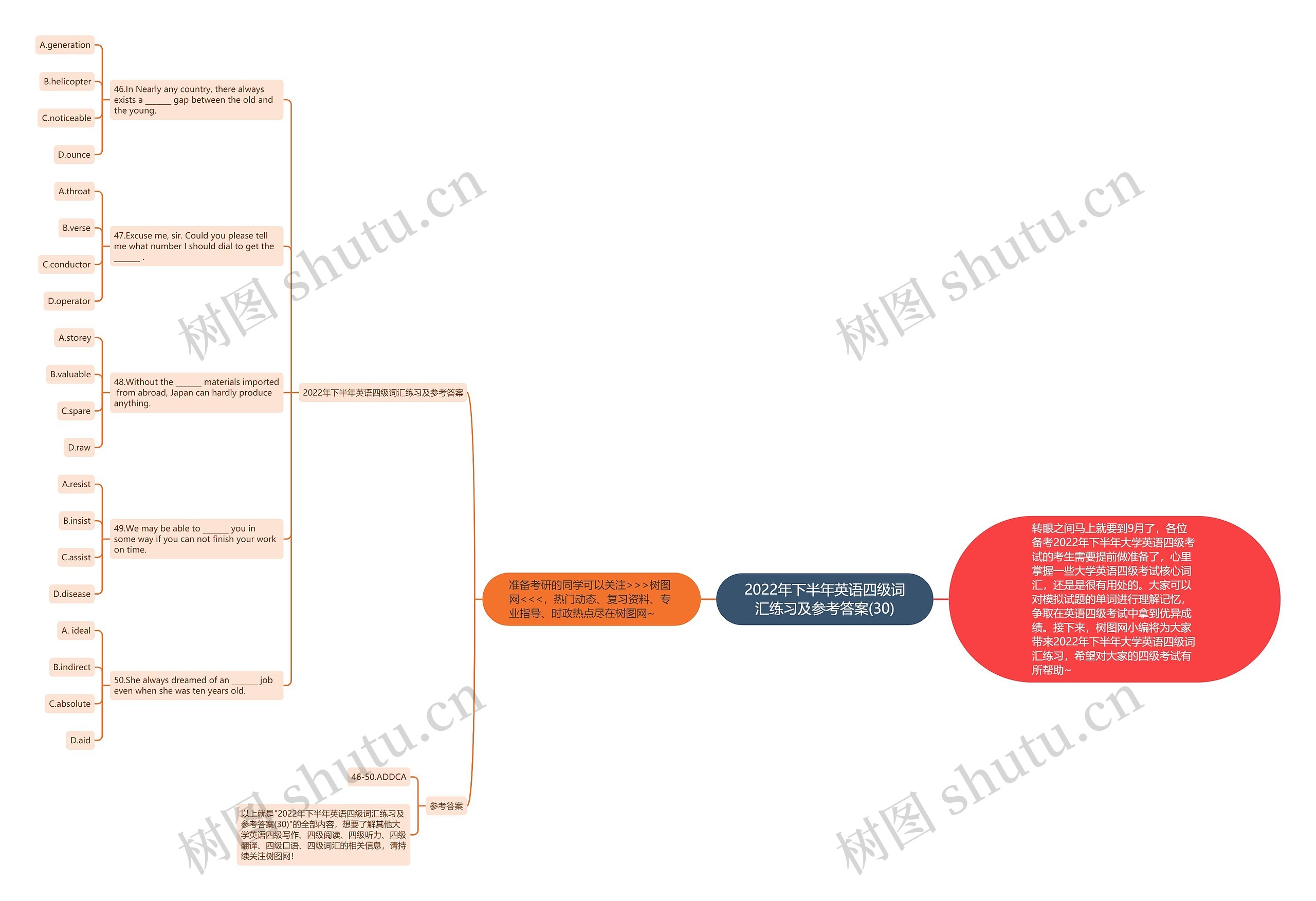 2022年下半年英语四级词汇练习及参考答案(30)思维导图
