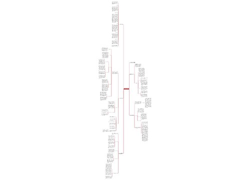 大班上班级工作总结 大班上班级工作总结