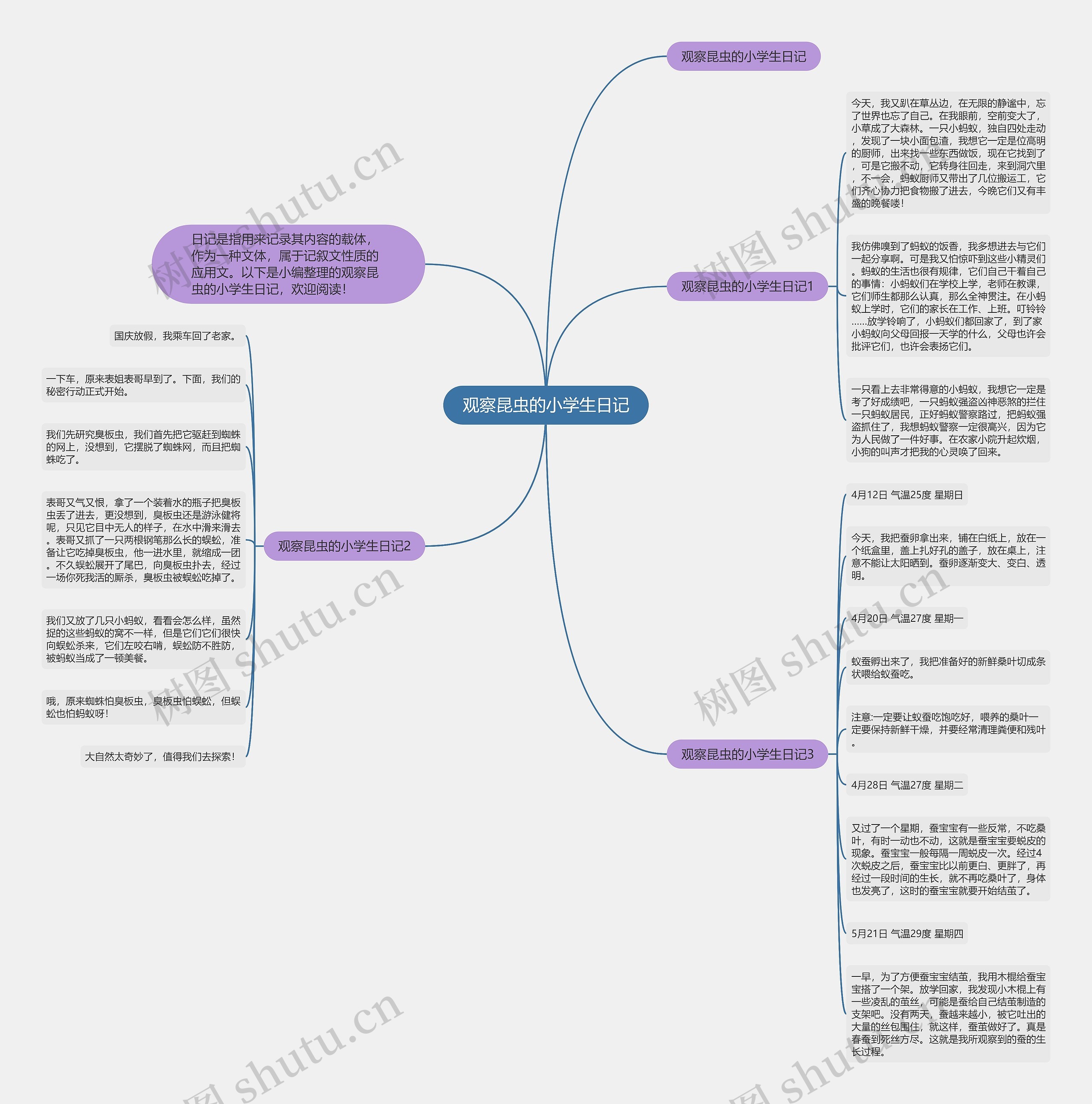 观察昆虫的小学生日记思维导图