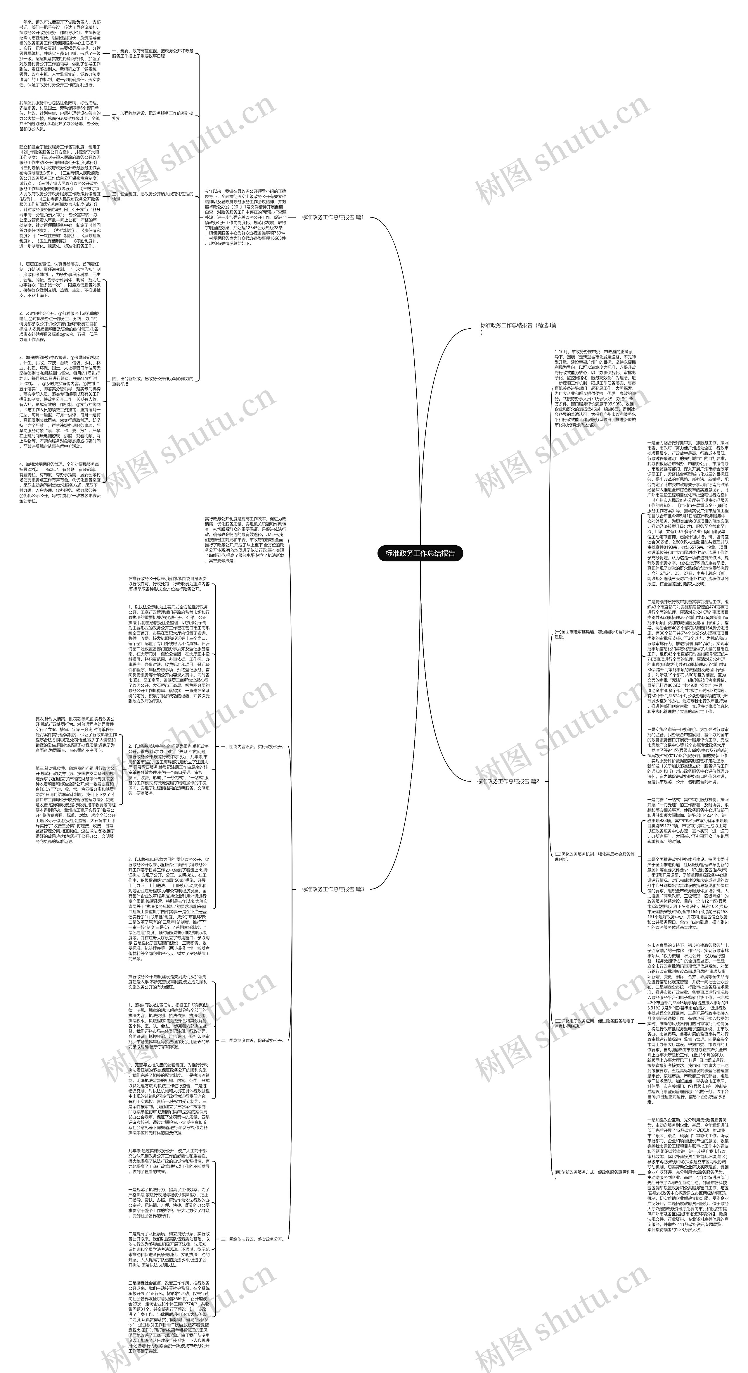 标准政务工作总结报告思维导图