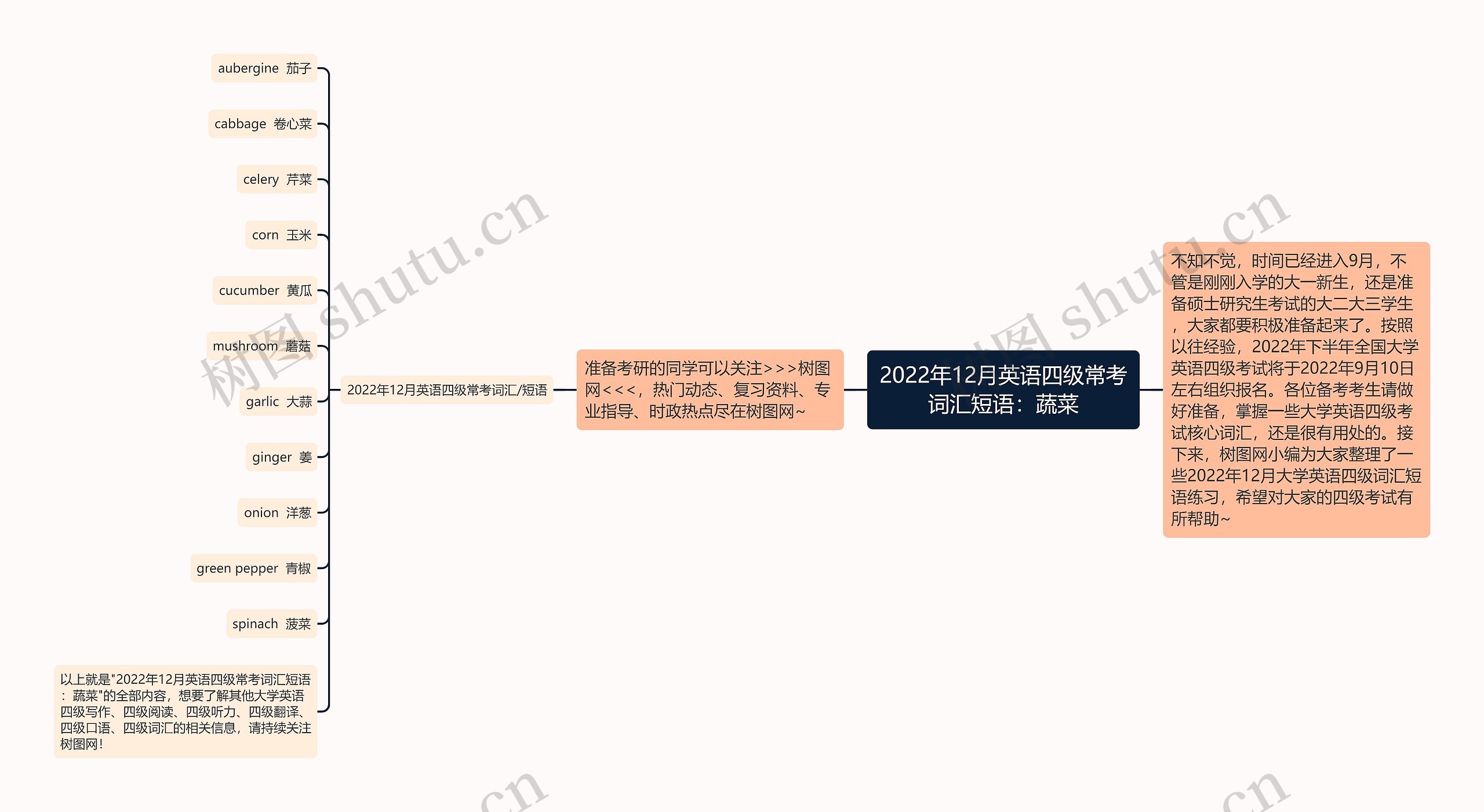 2022年12月英语四级常考词汇短语：蔬菜
