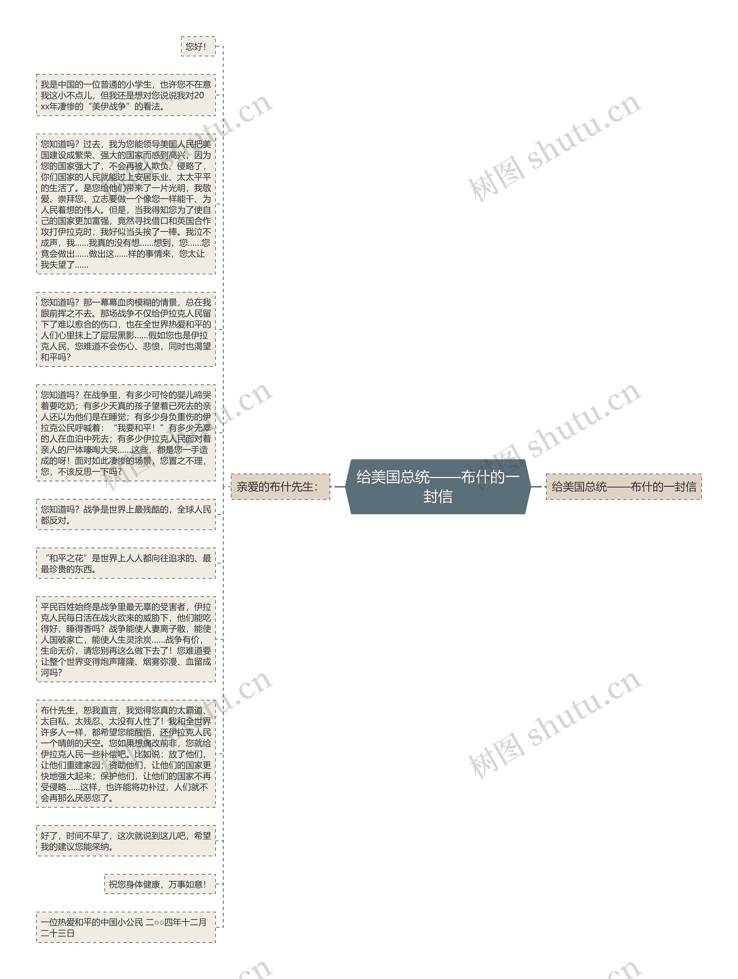 给美国总统——布什的一封信