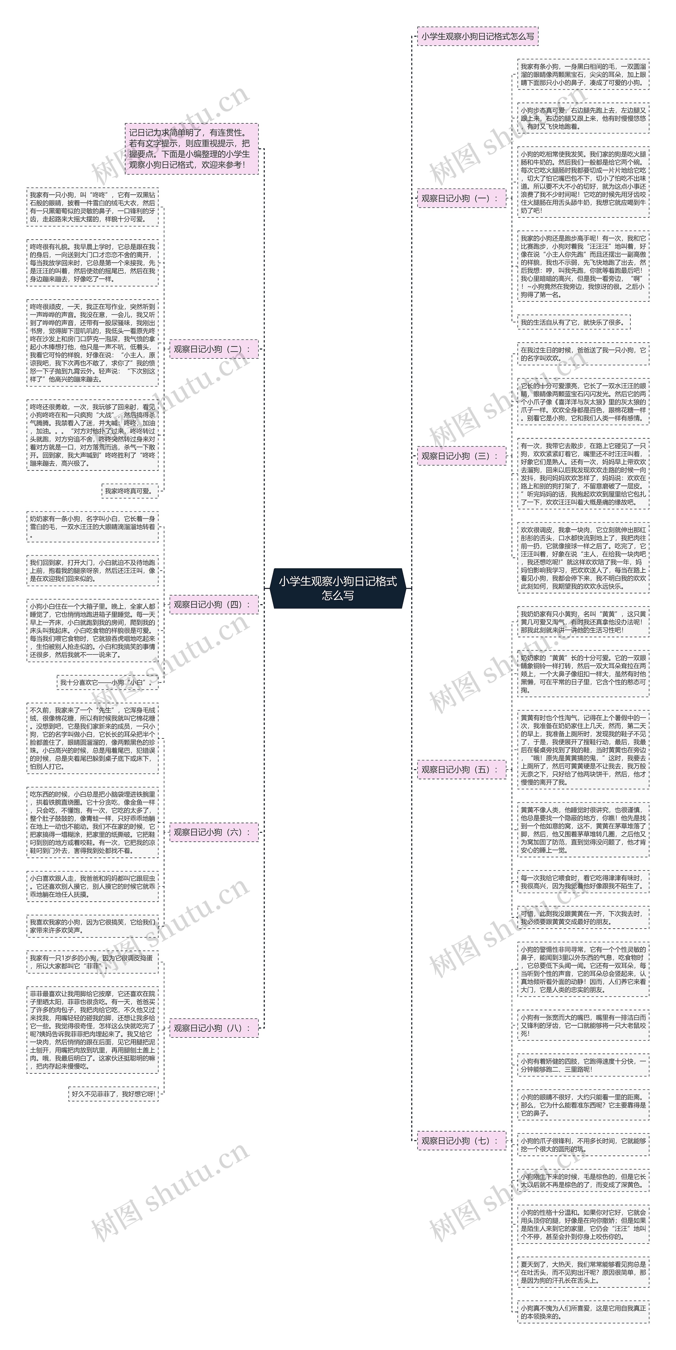 小学生观察小狗日记格式怎么写思维导图