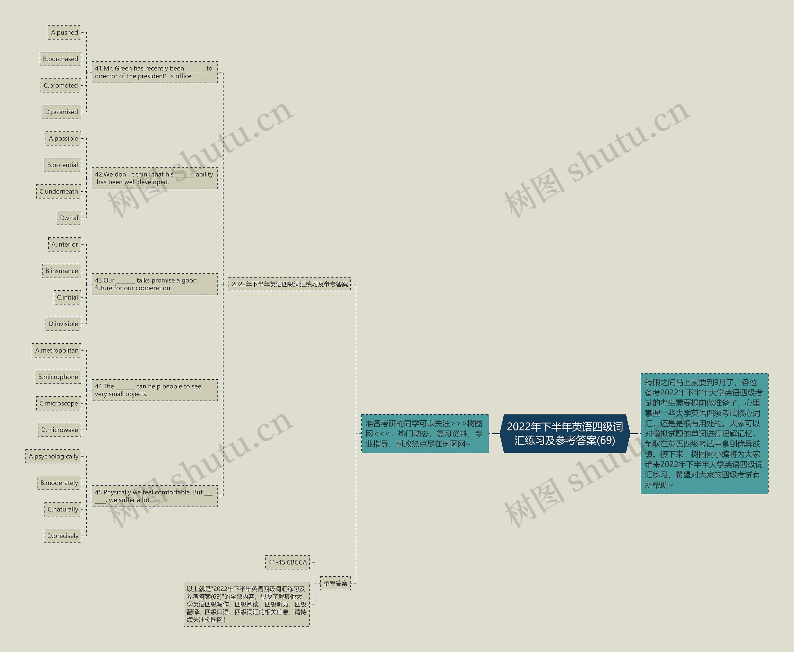 2022年下半年英语四级词汇练习及参考答案(69)思维导图