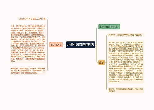 小学生暑假捉虾日记