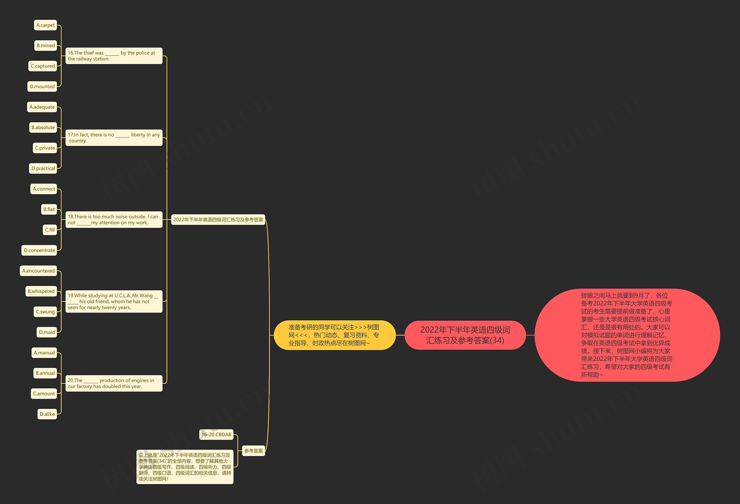 2022年下半年英语四级词汇练习及参考答案(34)思维导图