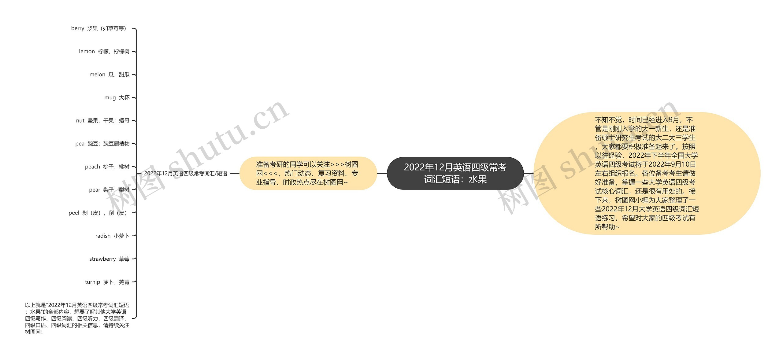 2022年12月英语四级常考词汇短语：水果