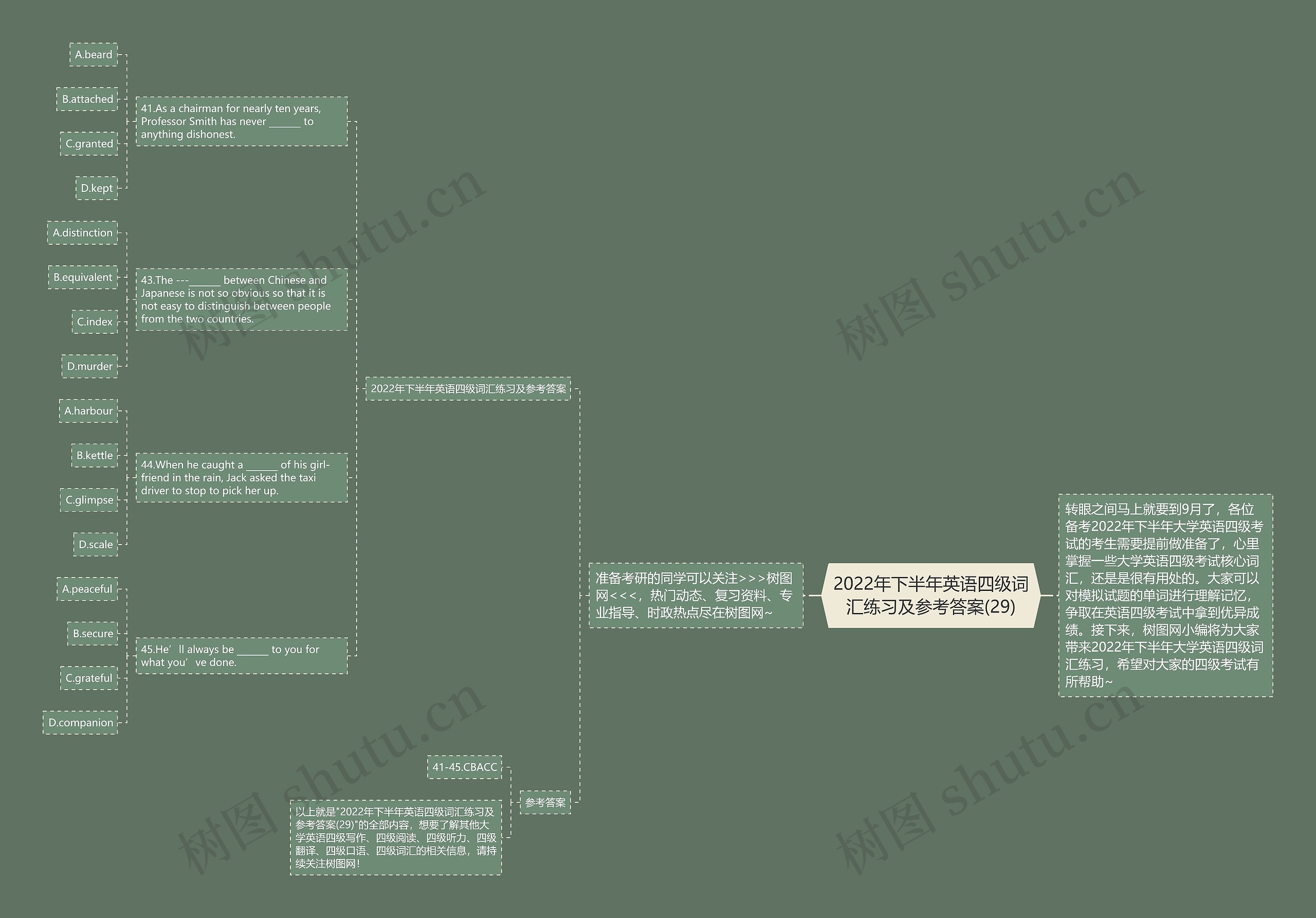 2022年下半年英语四级词汇练习及参考答案(29)思维导图