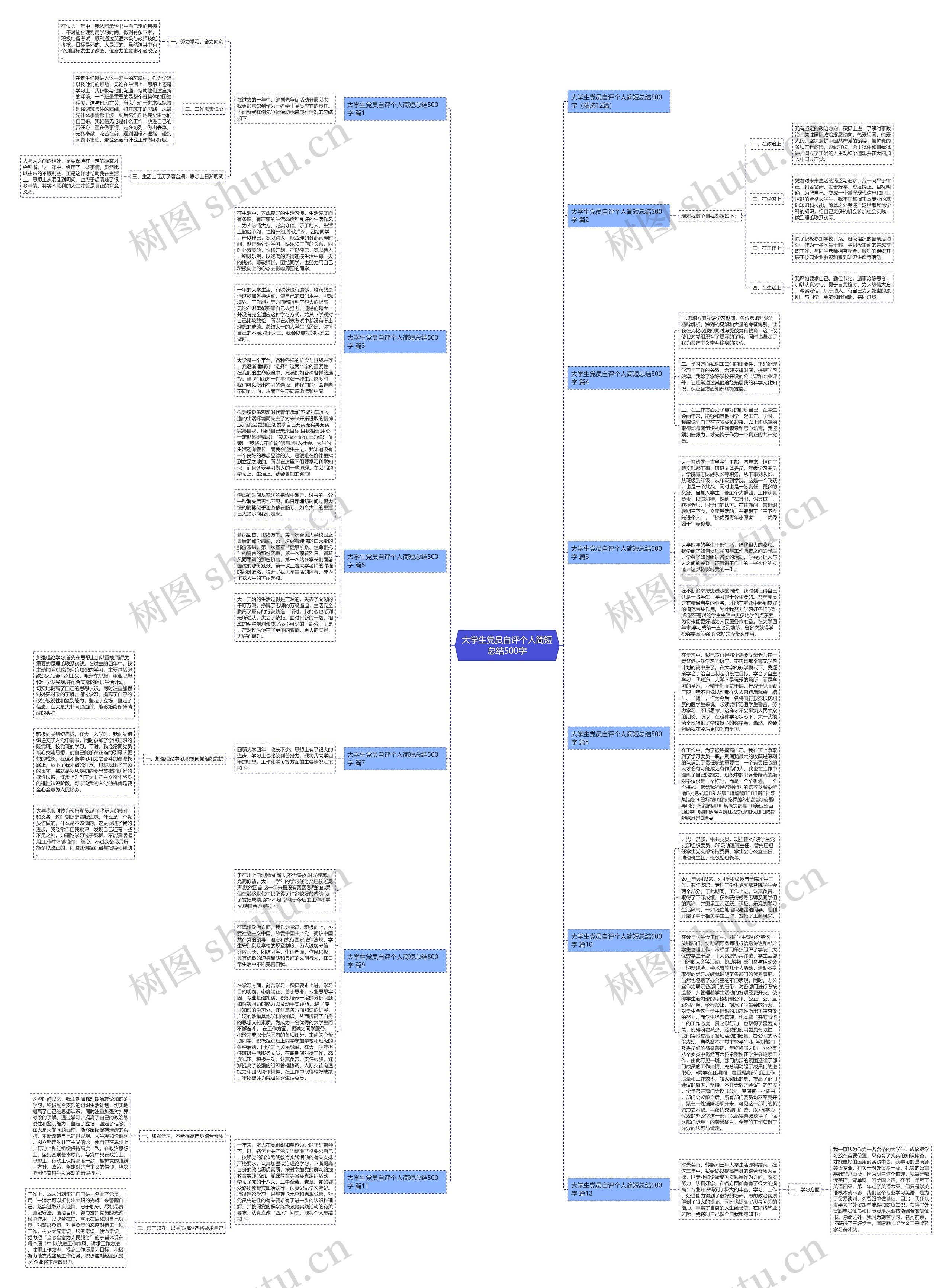 大学生党员自评个人简短总结500字思维导图