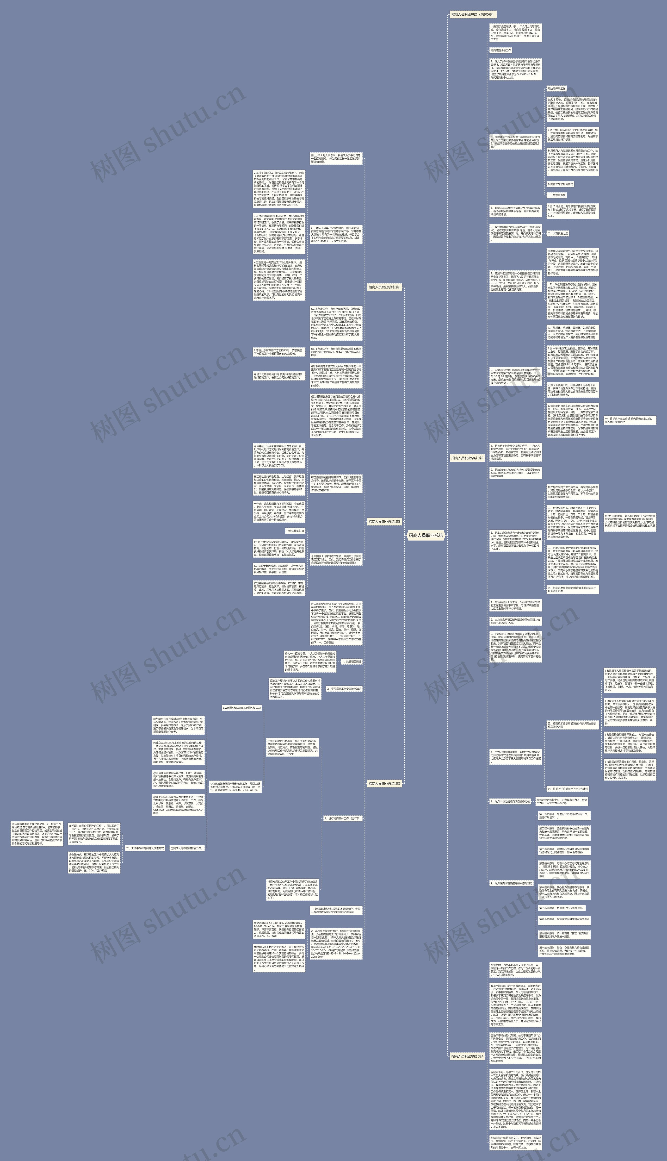 招商人员职业总结思维导图