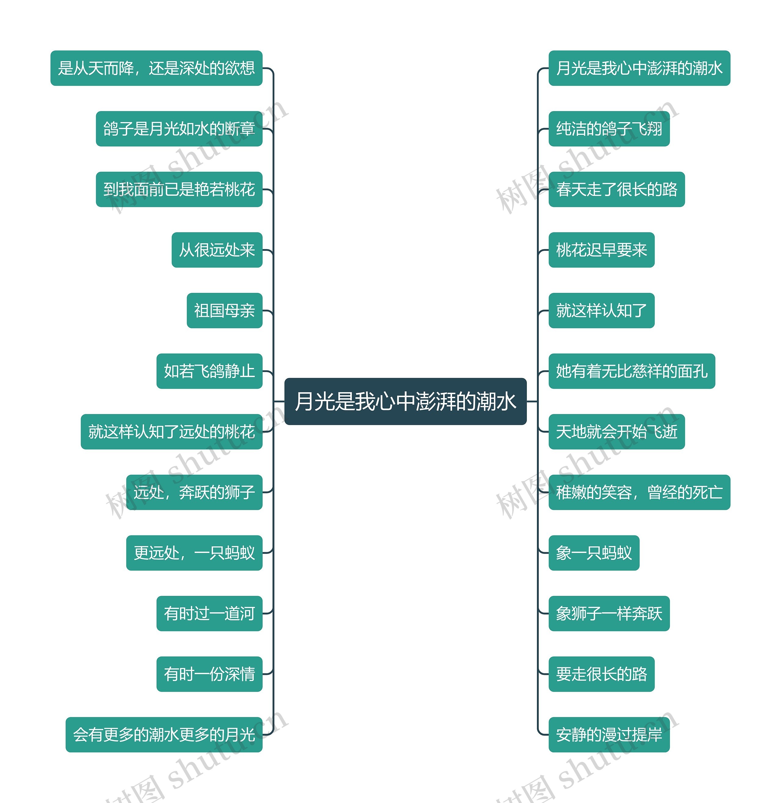 月光是我心中澎湃的潮水思维导图